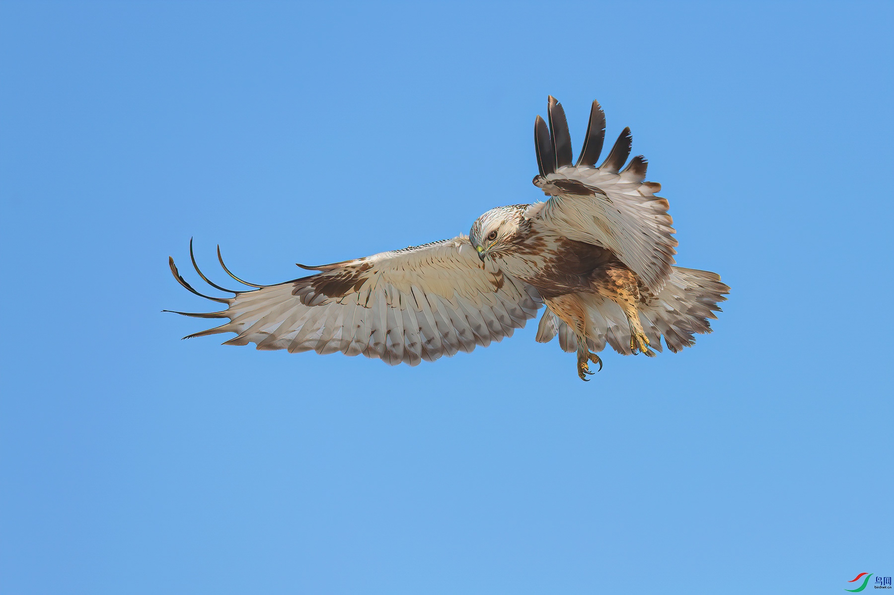 L04_2953-1.jpg