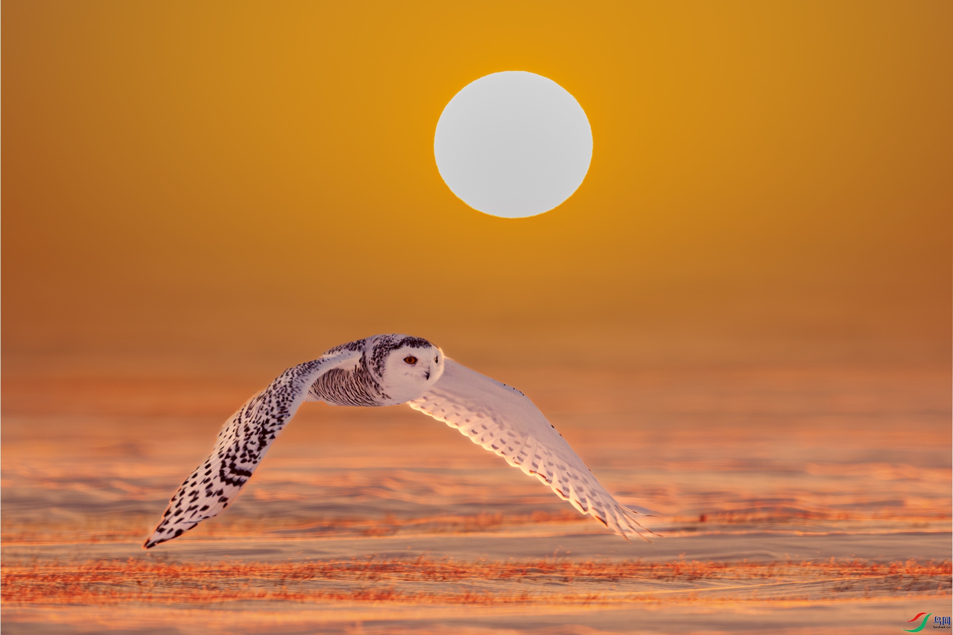 _DSC1551_1 ����.jpg