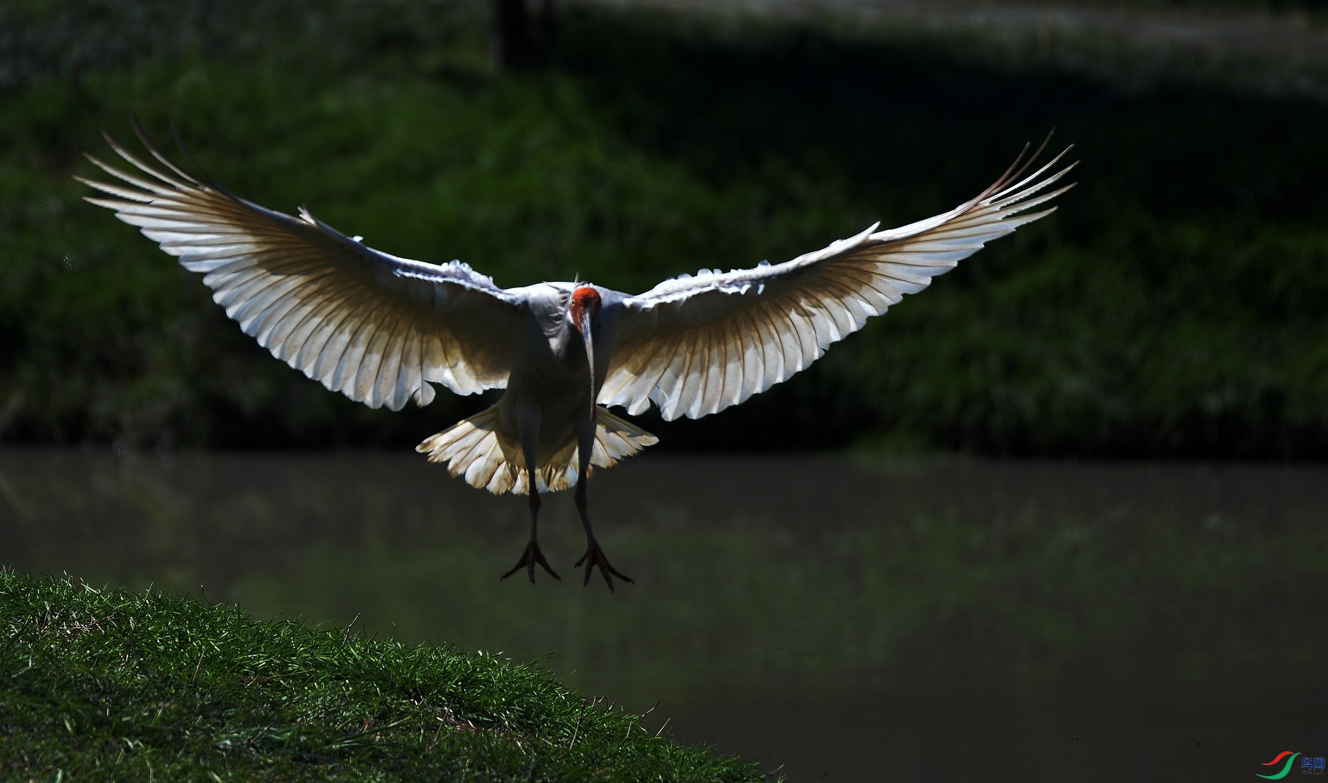 DSC_4769_����.jpg