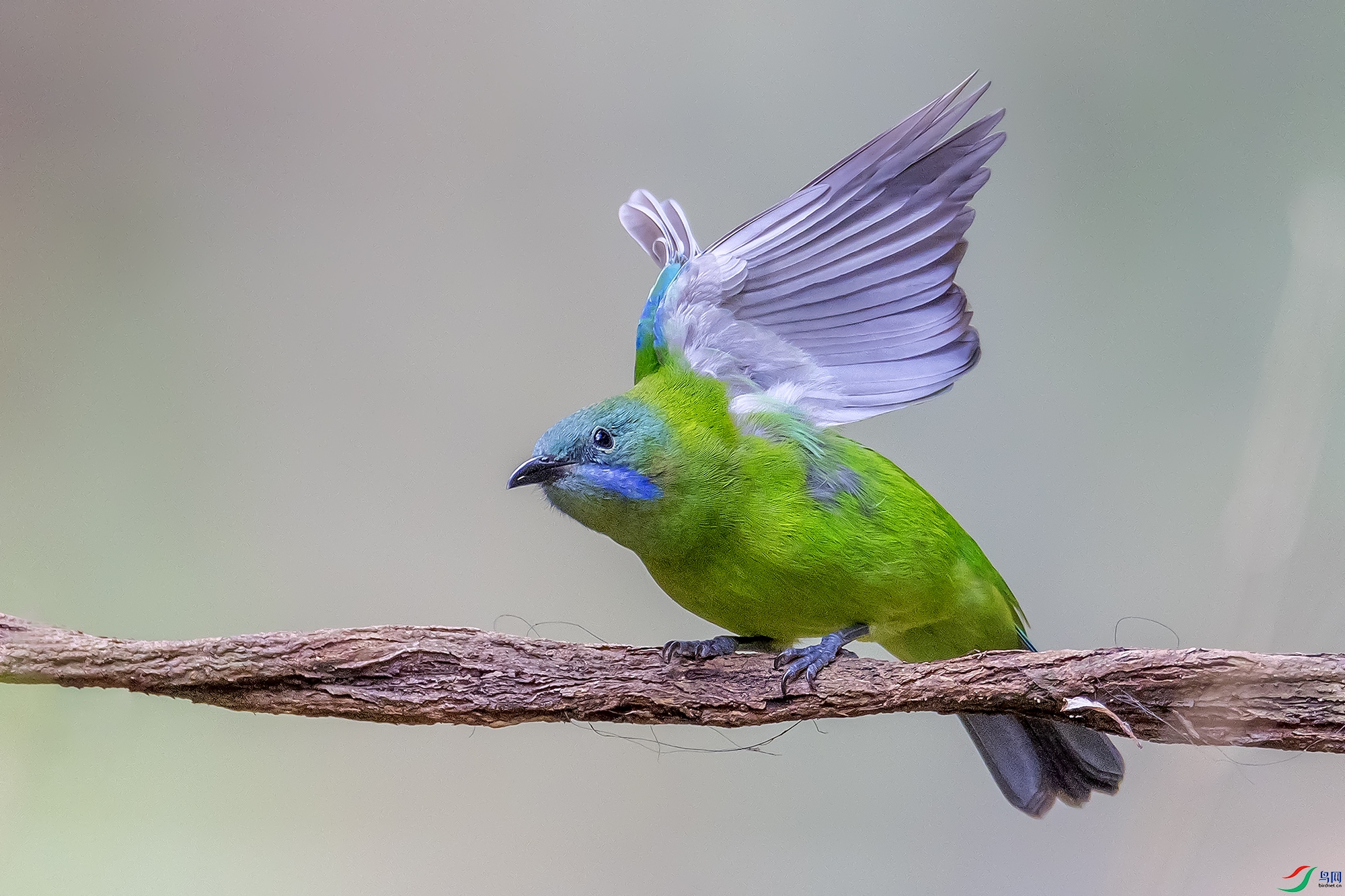 0F7A4340 ����.jpg