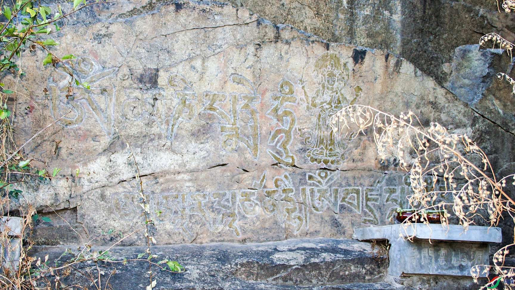 ɽ��ʯ���ϵ�����