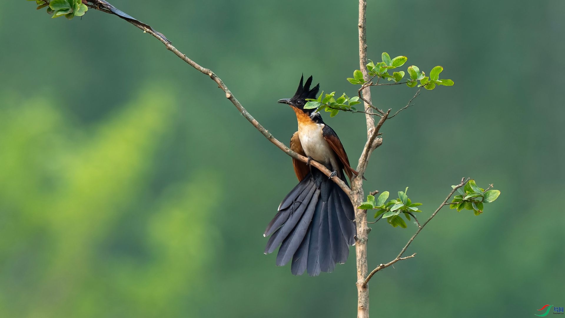 DSC07210 ����.jpg