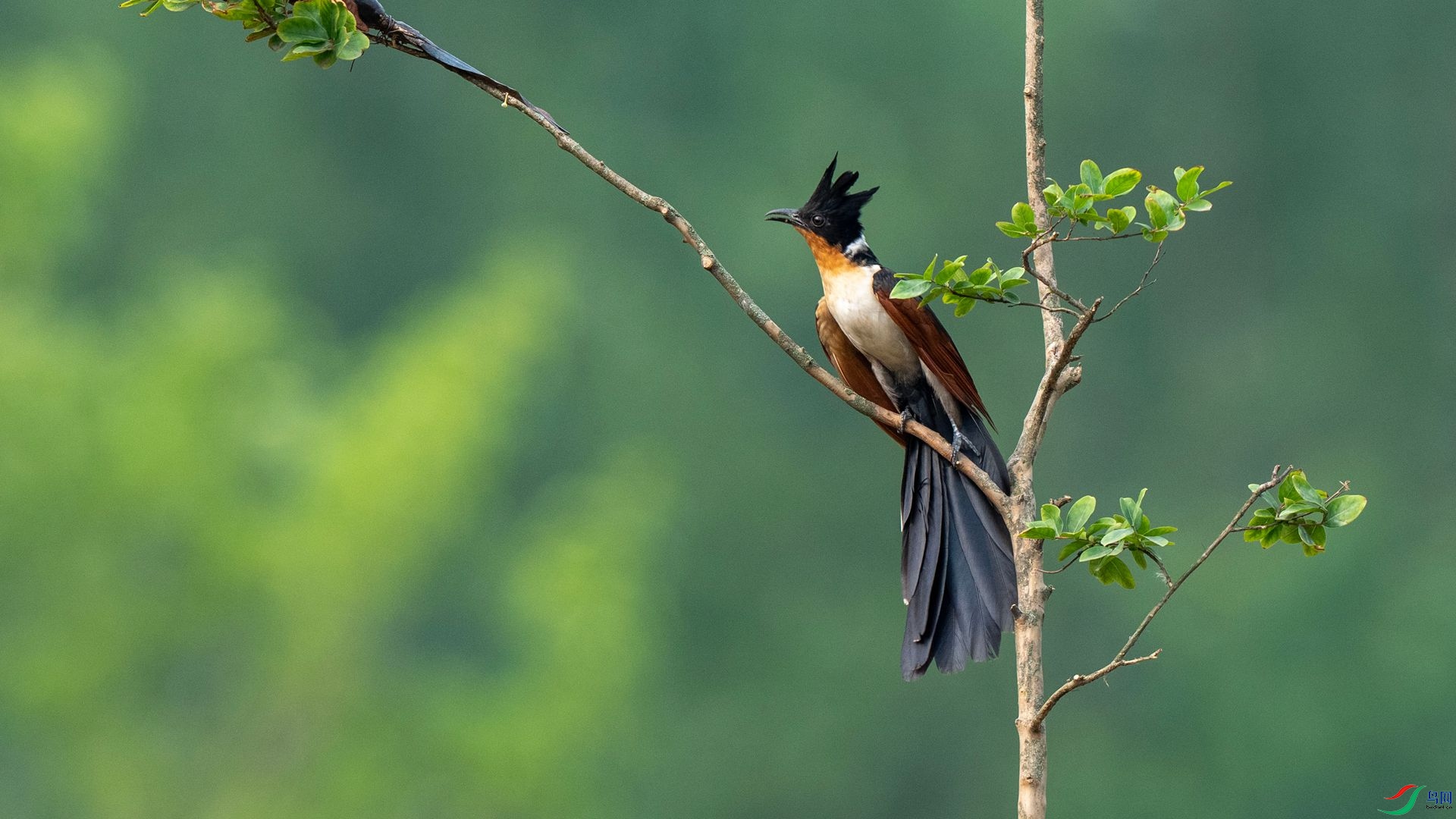 DSC07214 ����.jpg