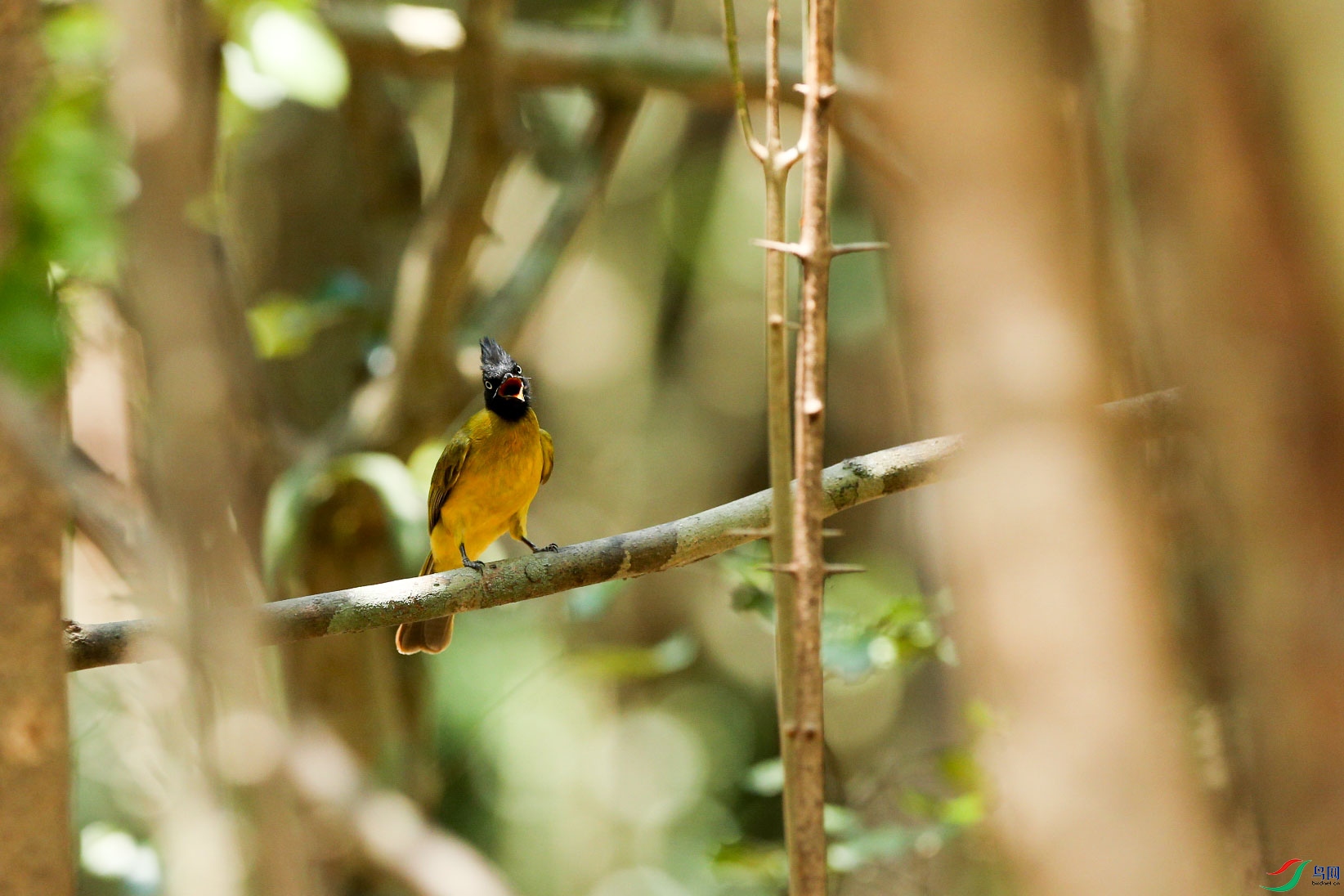 �ڹڻ��� (2).jpg