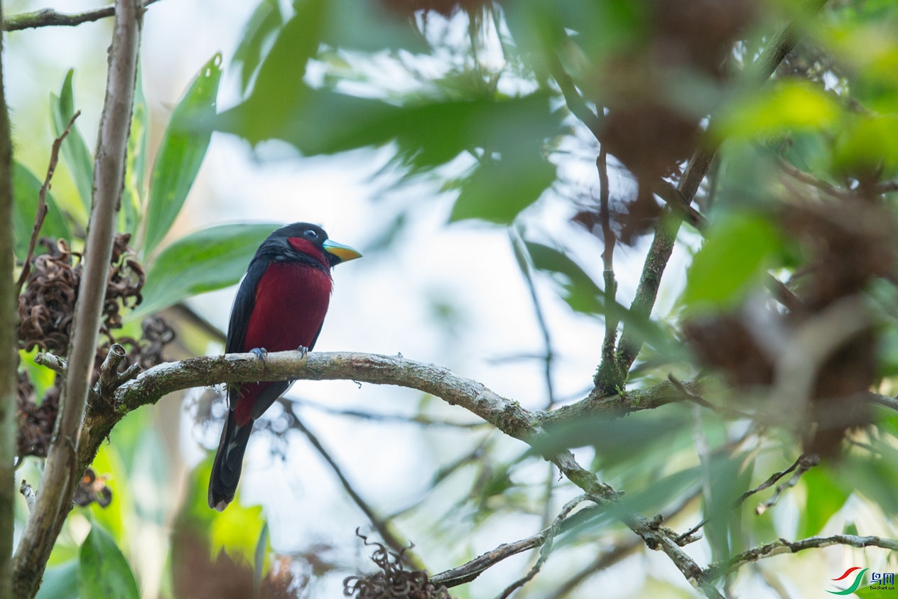 �ں������� (4).jpg