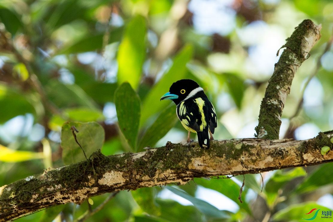 �ڻ������� (2).jpg