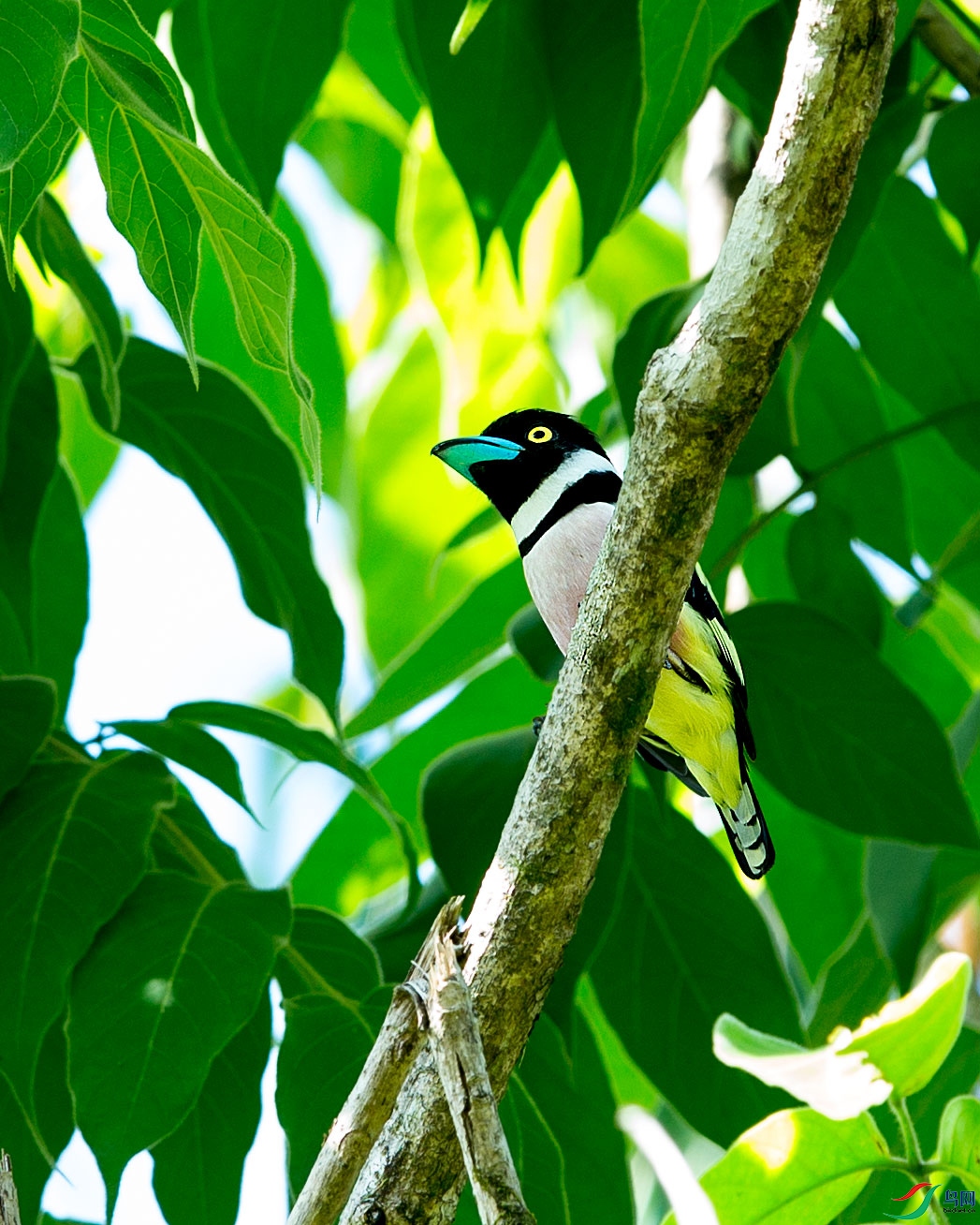 �ڻ������� (8).jpg