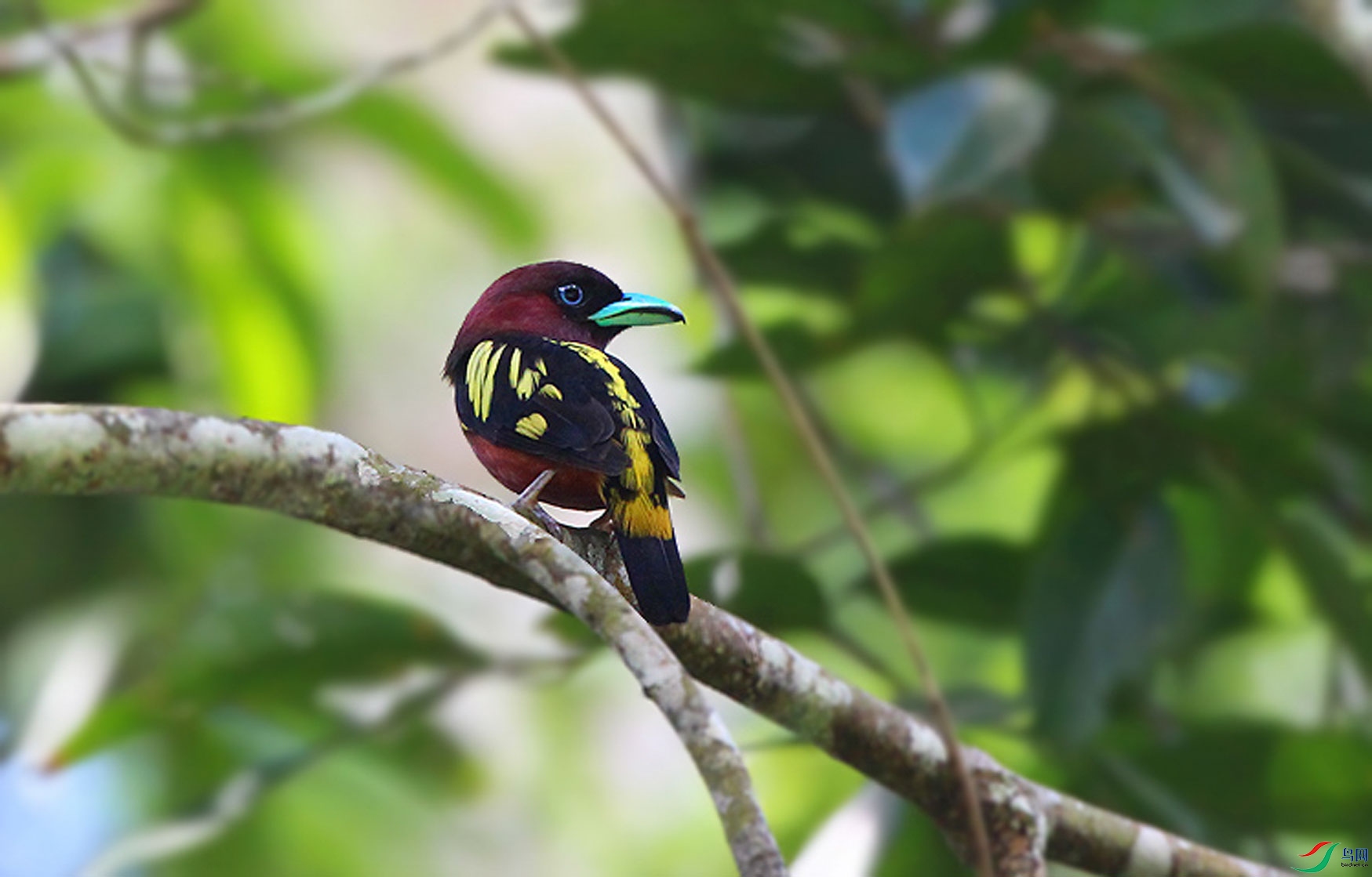 �ڻ������� (9).JPG