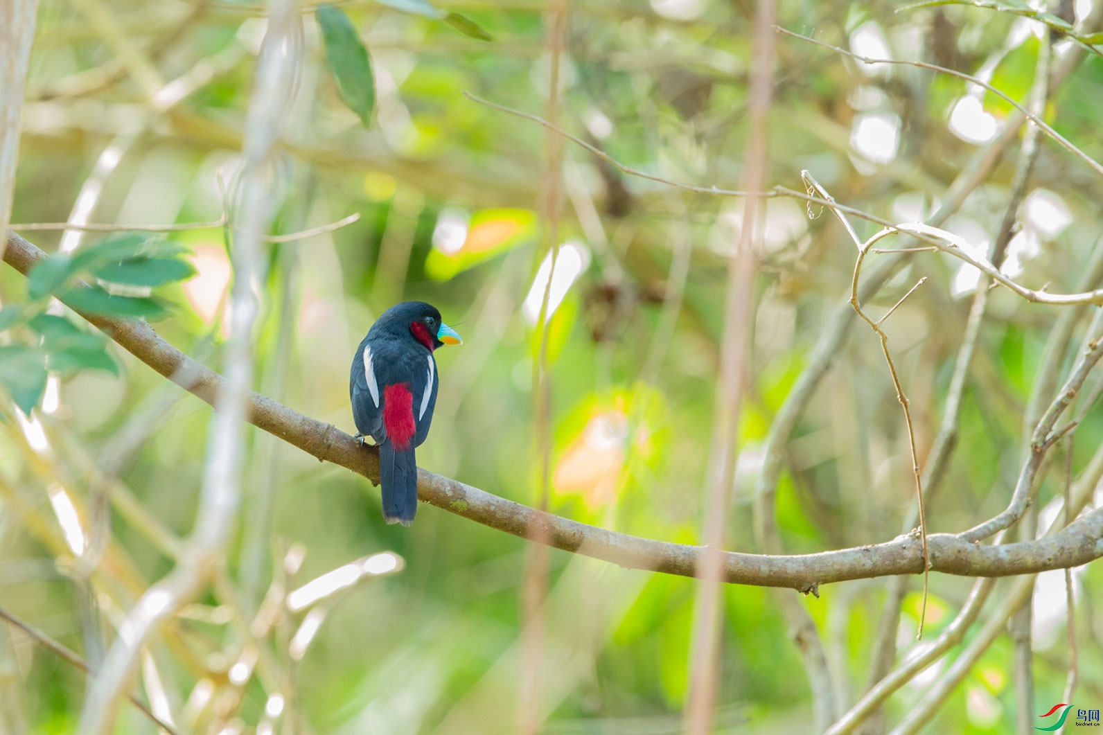 �ڻ������� (13).jpg