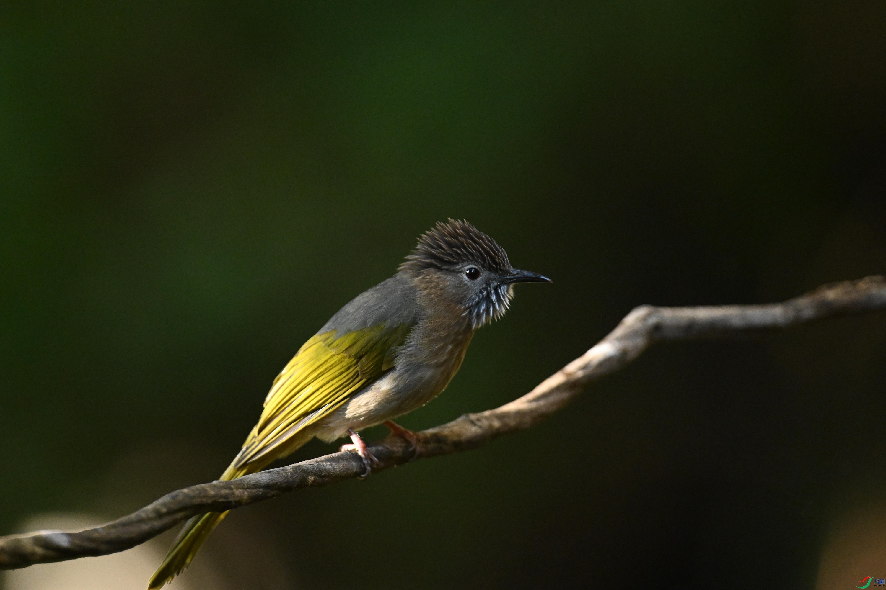 ���� (10).jpg