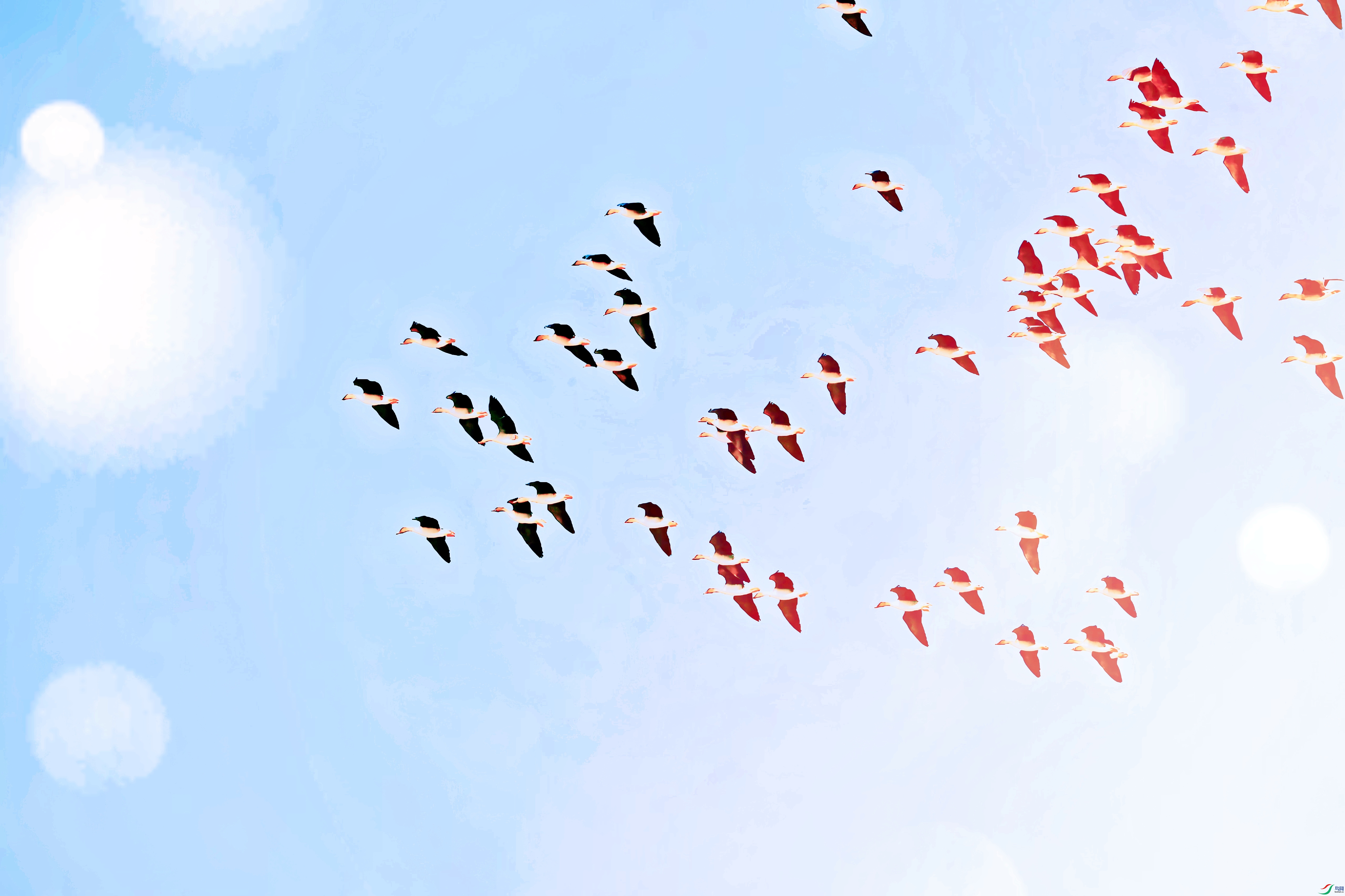 AS8I6600_����_����.jpg