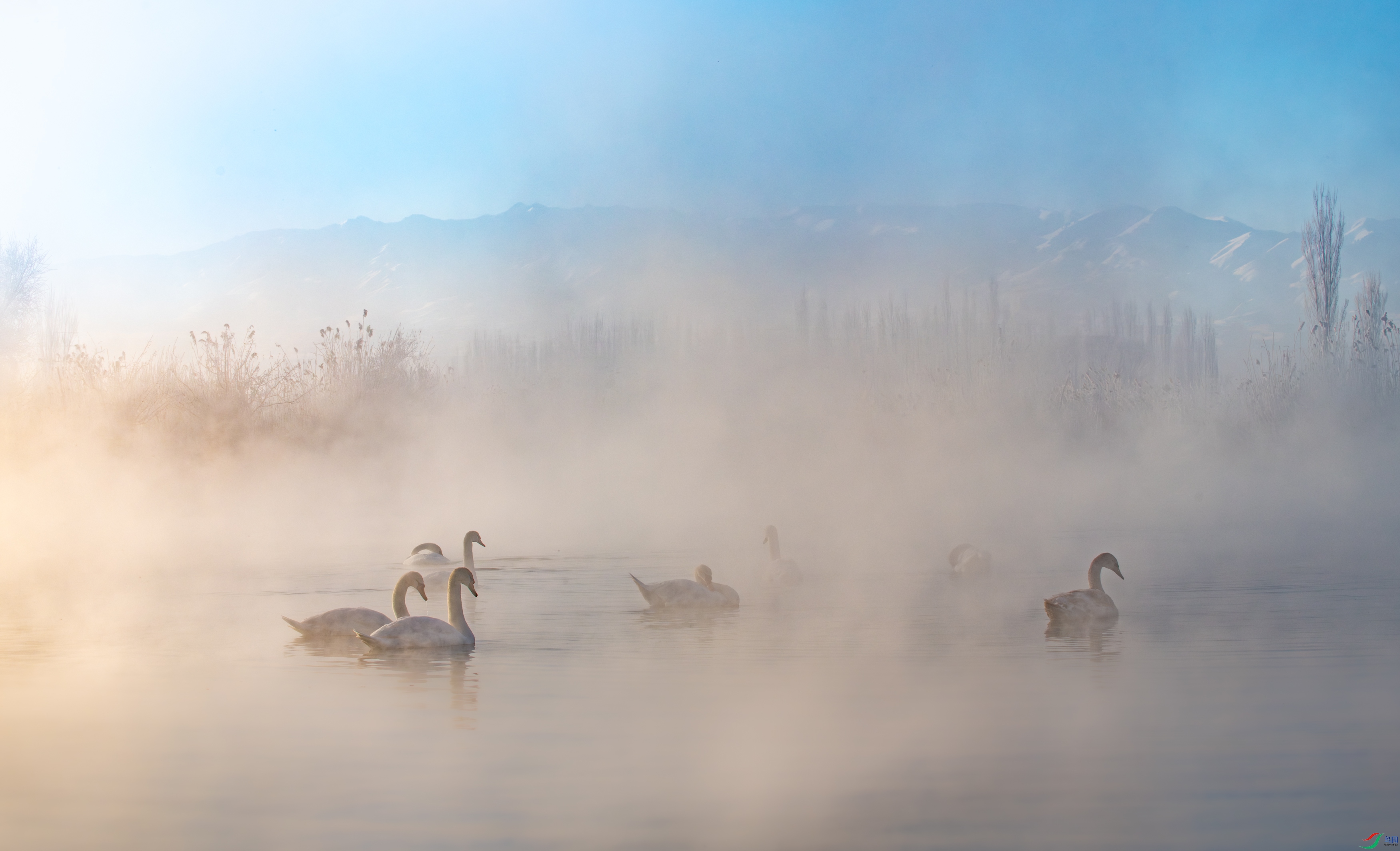 DSC_2177-11.jpg