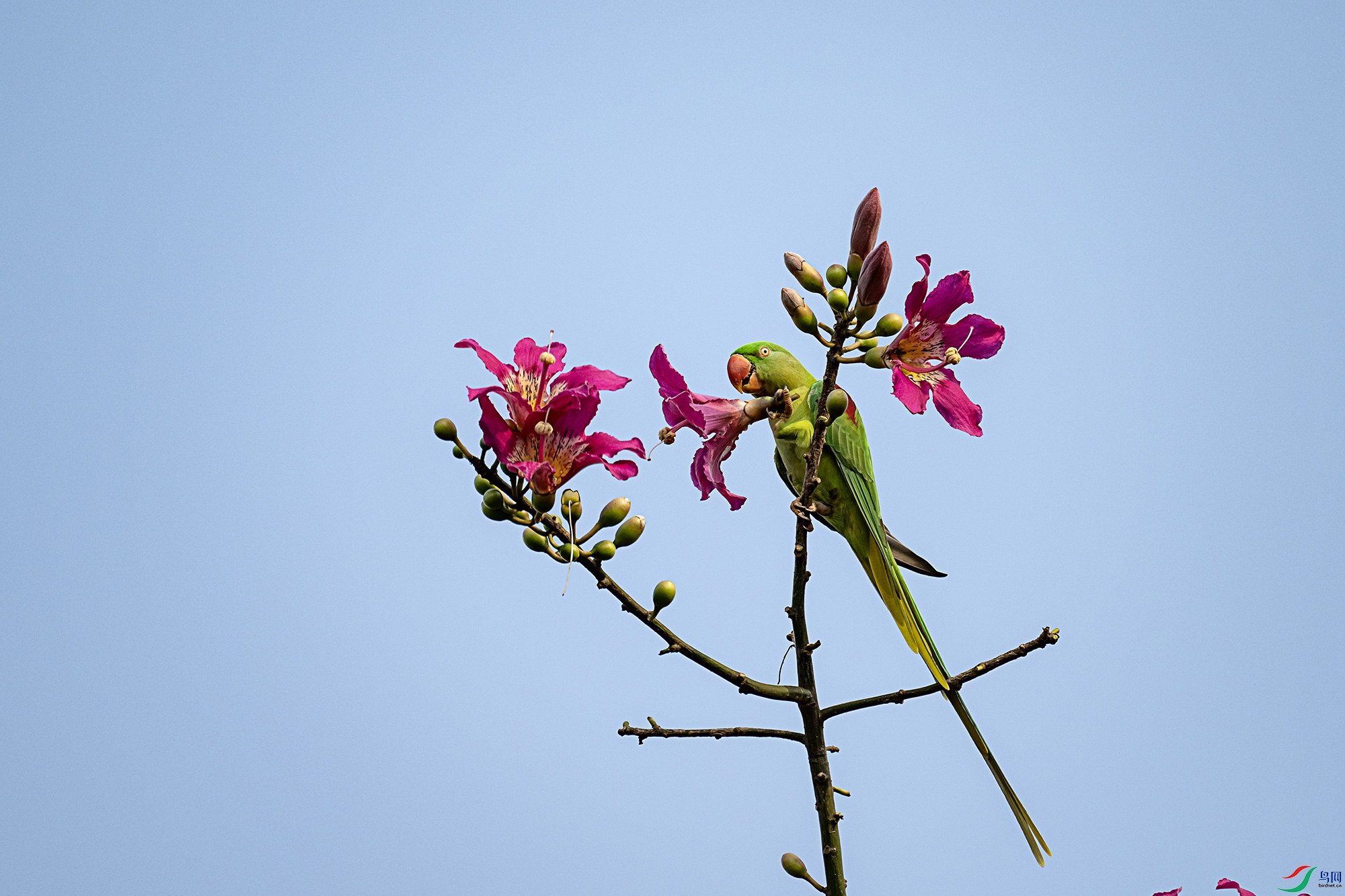 DSC_9356.jpg