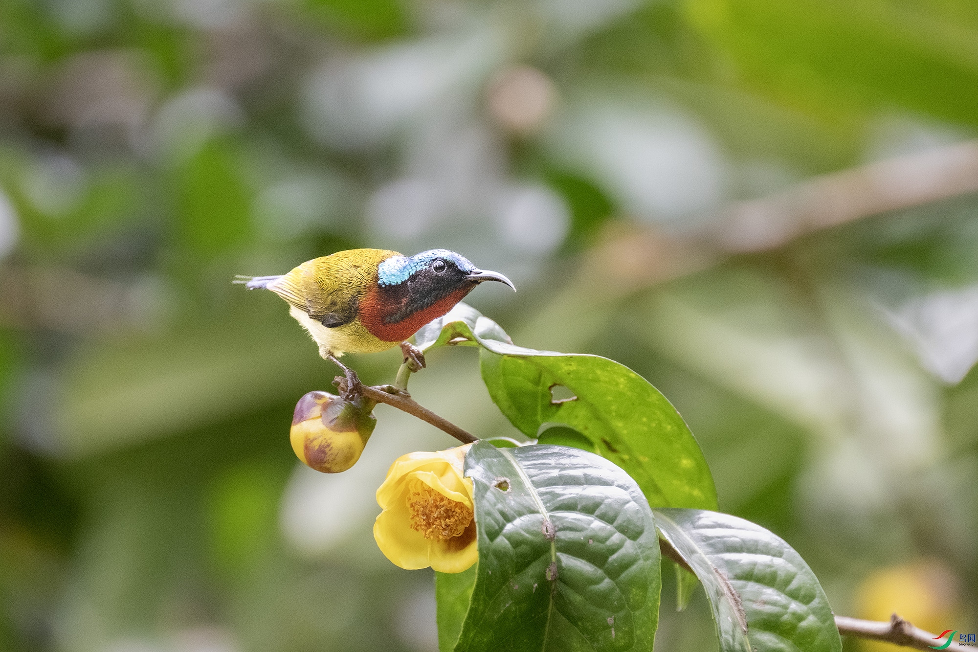 DSC_7848.jpg