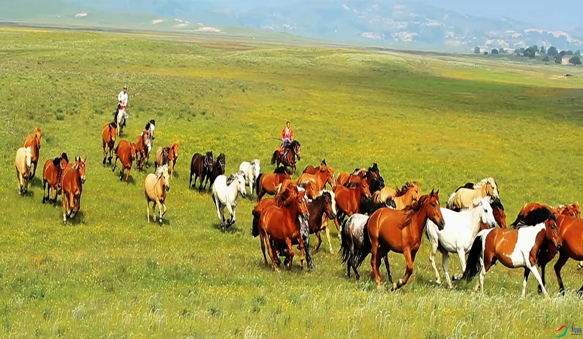 2��18�� (2)-1.jpg