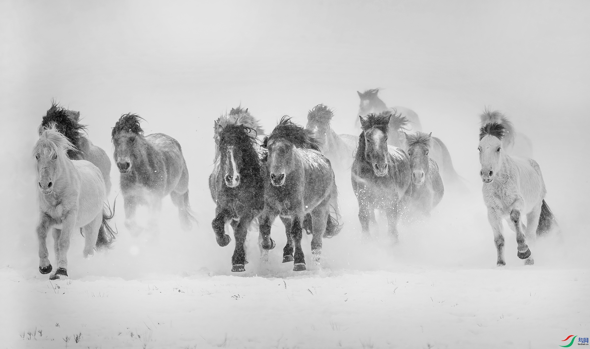 DSC_6254- ����ף��.jpg