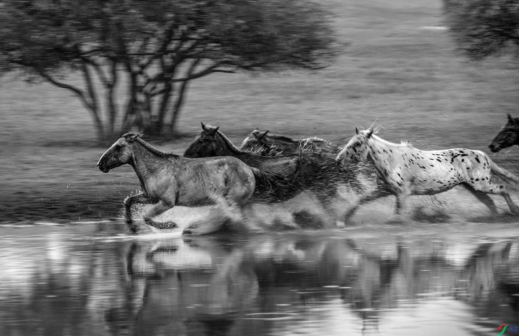 DSC_0716 ���� 2a11.jpg