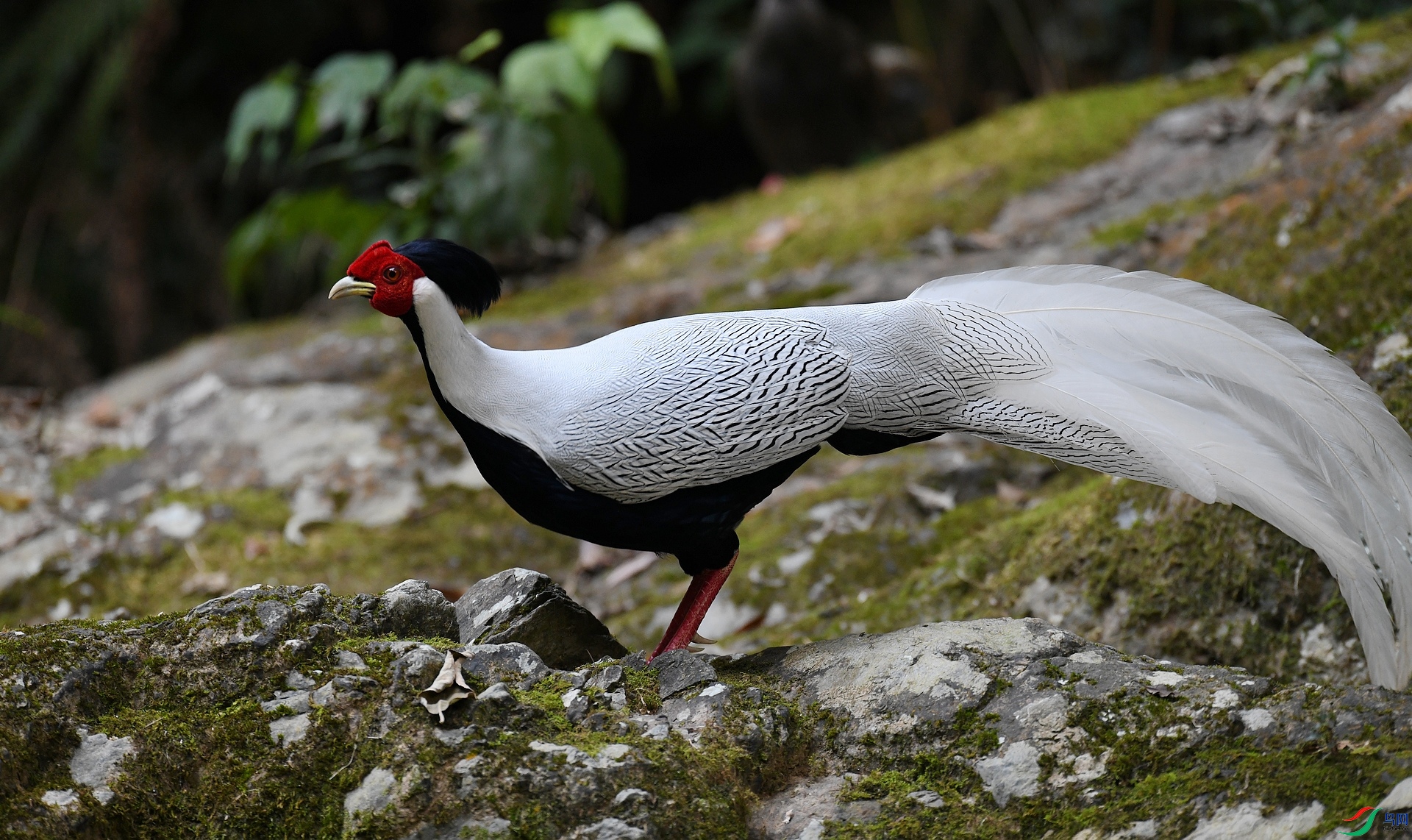DSC_7280.jpg