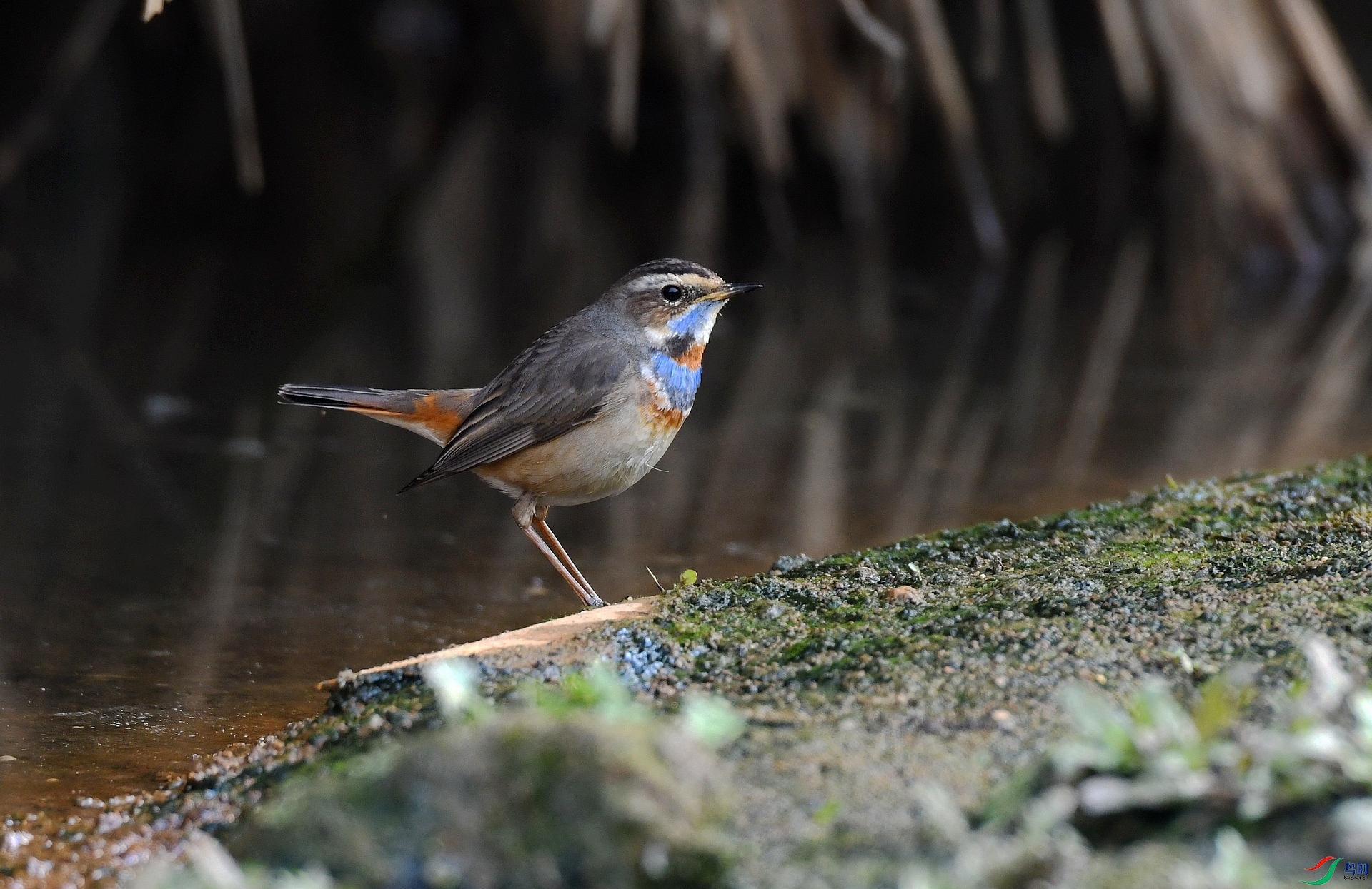 DSC_7272.jpg