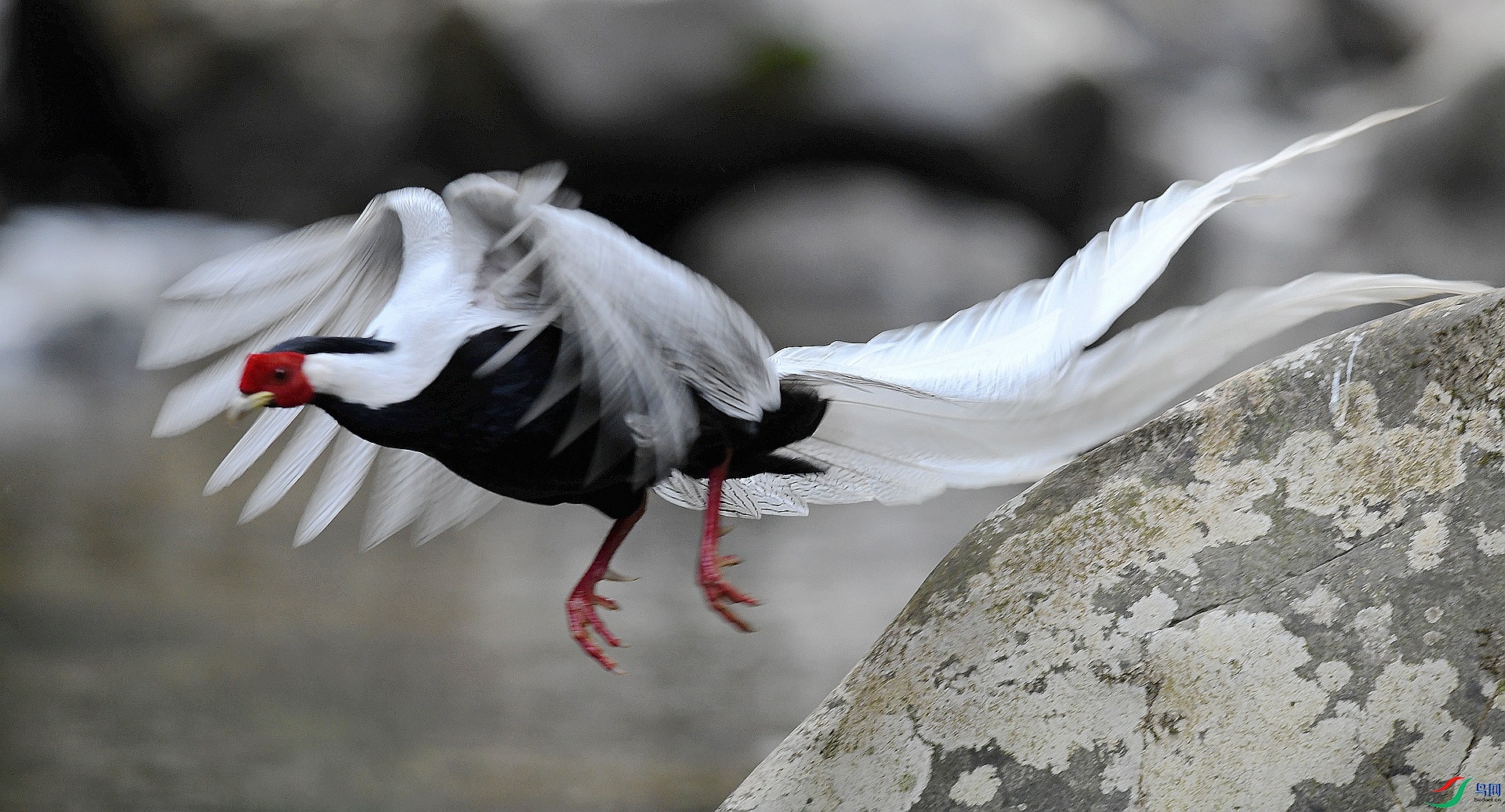 DSC_6866.jpg