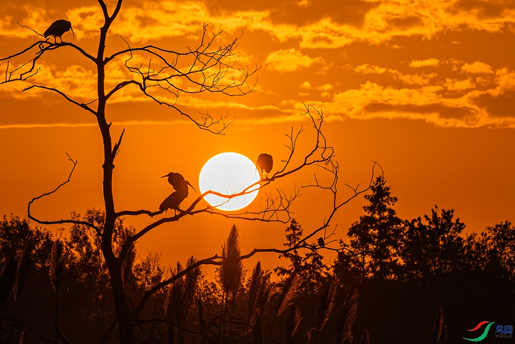 hnxydzR5251115 (3492).jpg