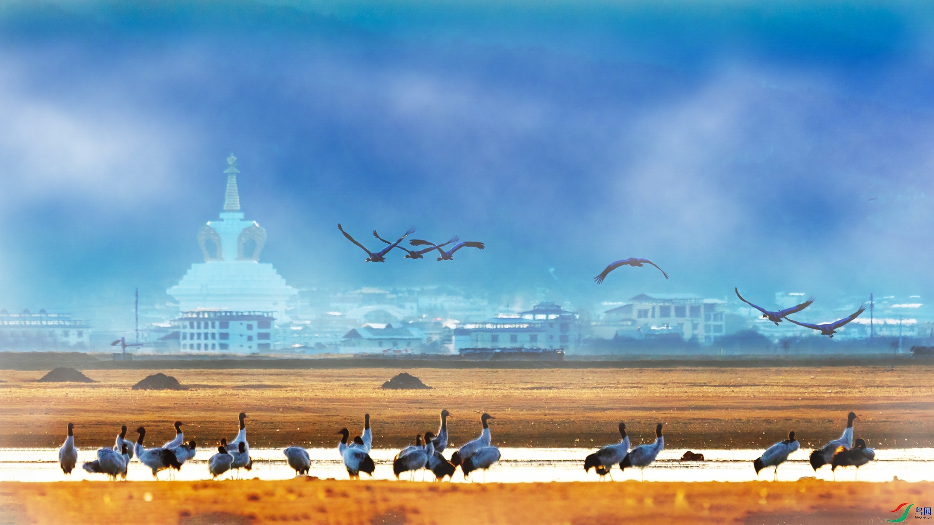 ������կ_B5A49761.jpg