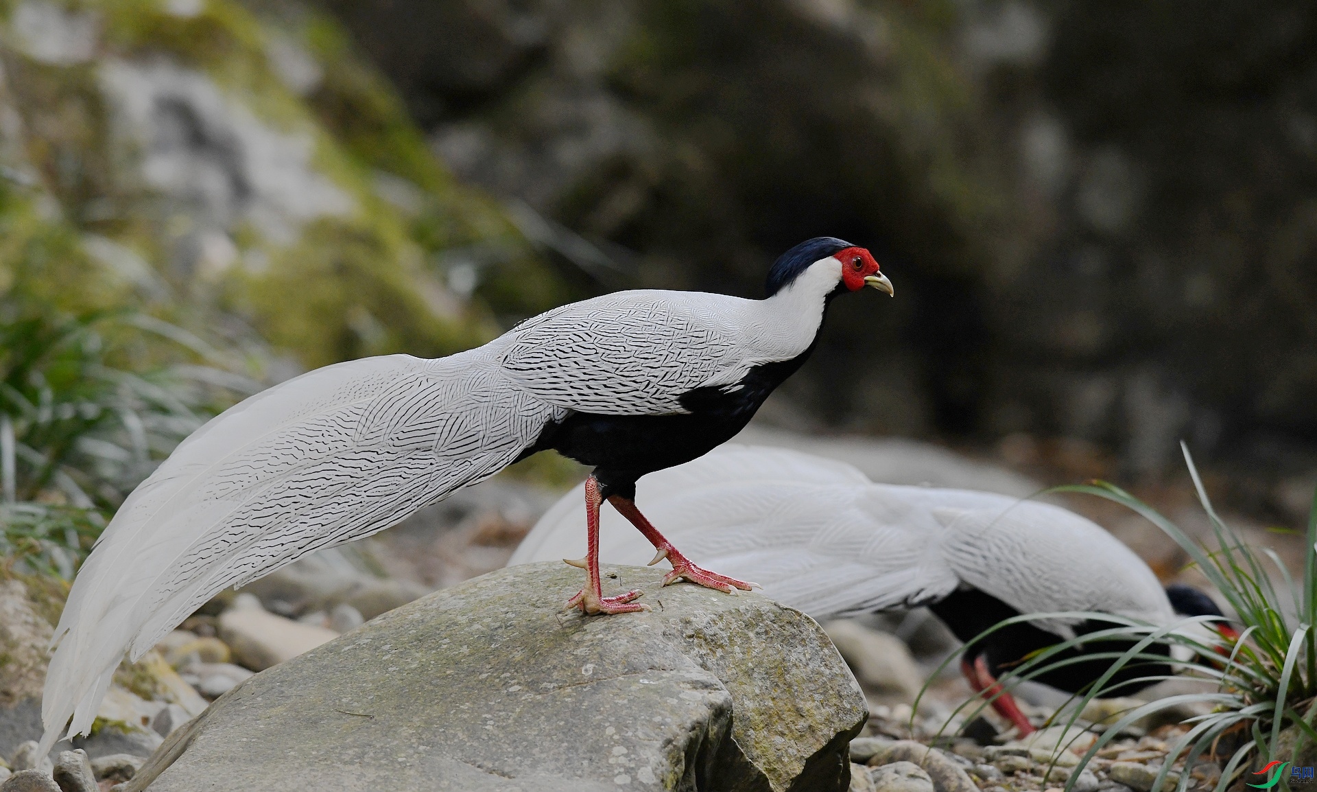 DSC_6203.jpg