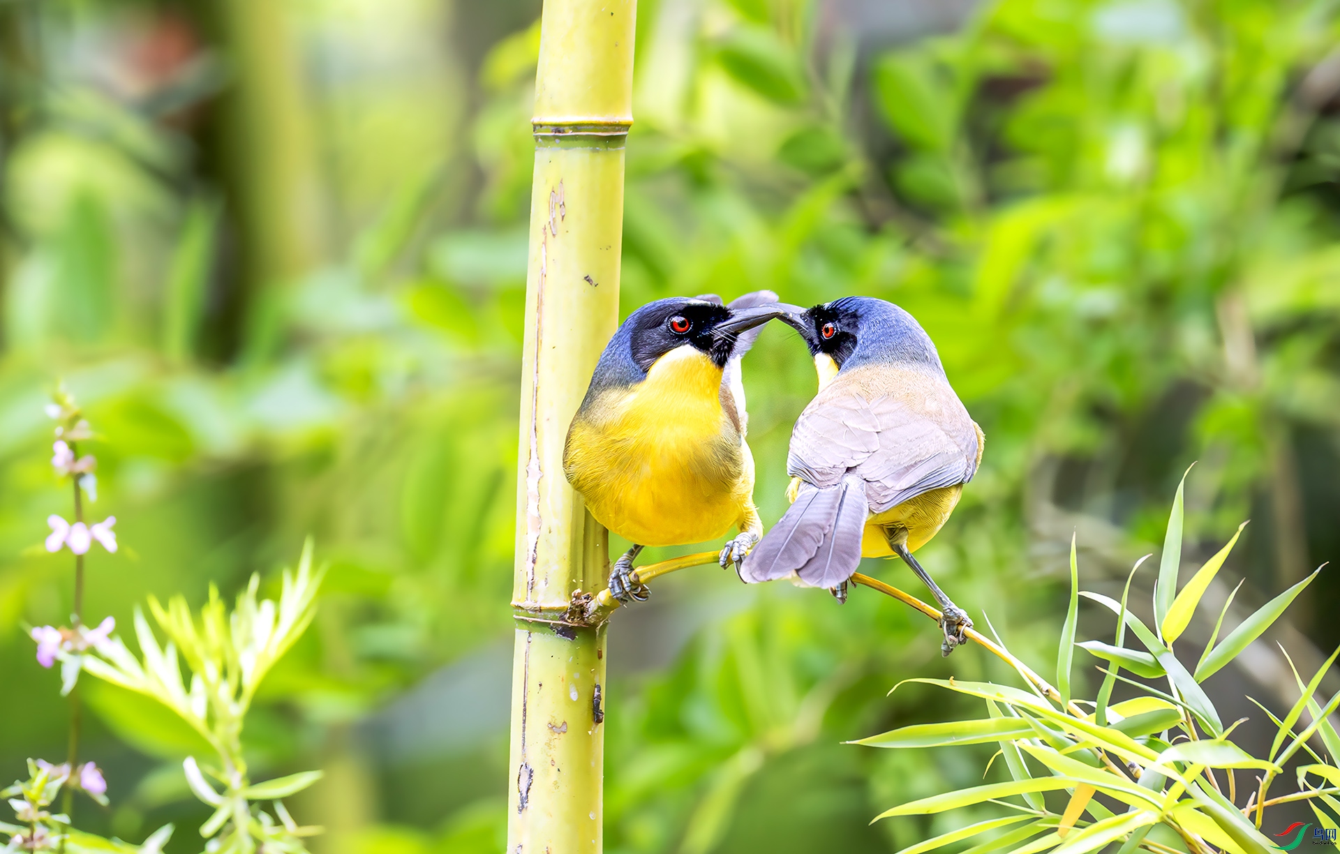 060A9468-----22  .jpg