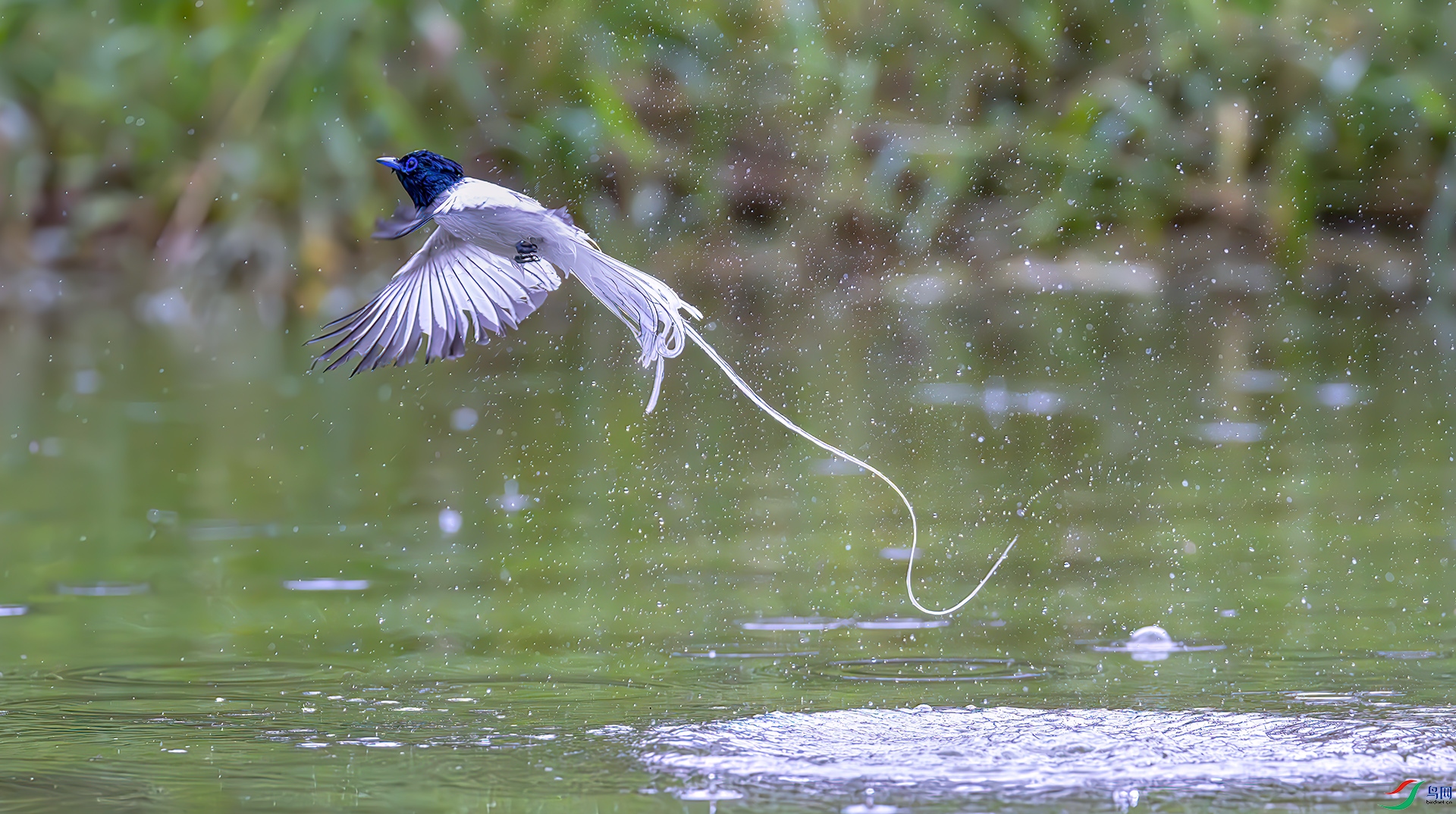 407A8787-----3333.  .jpg