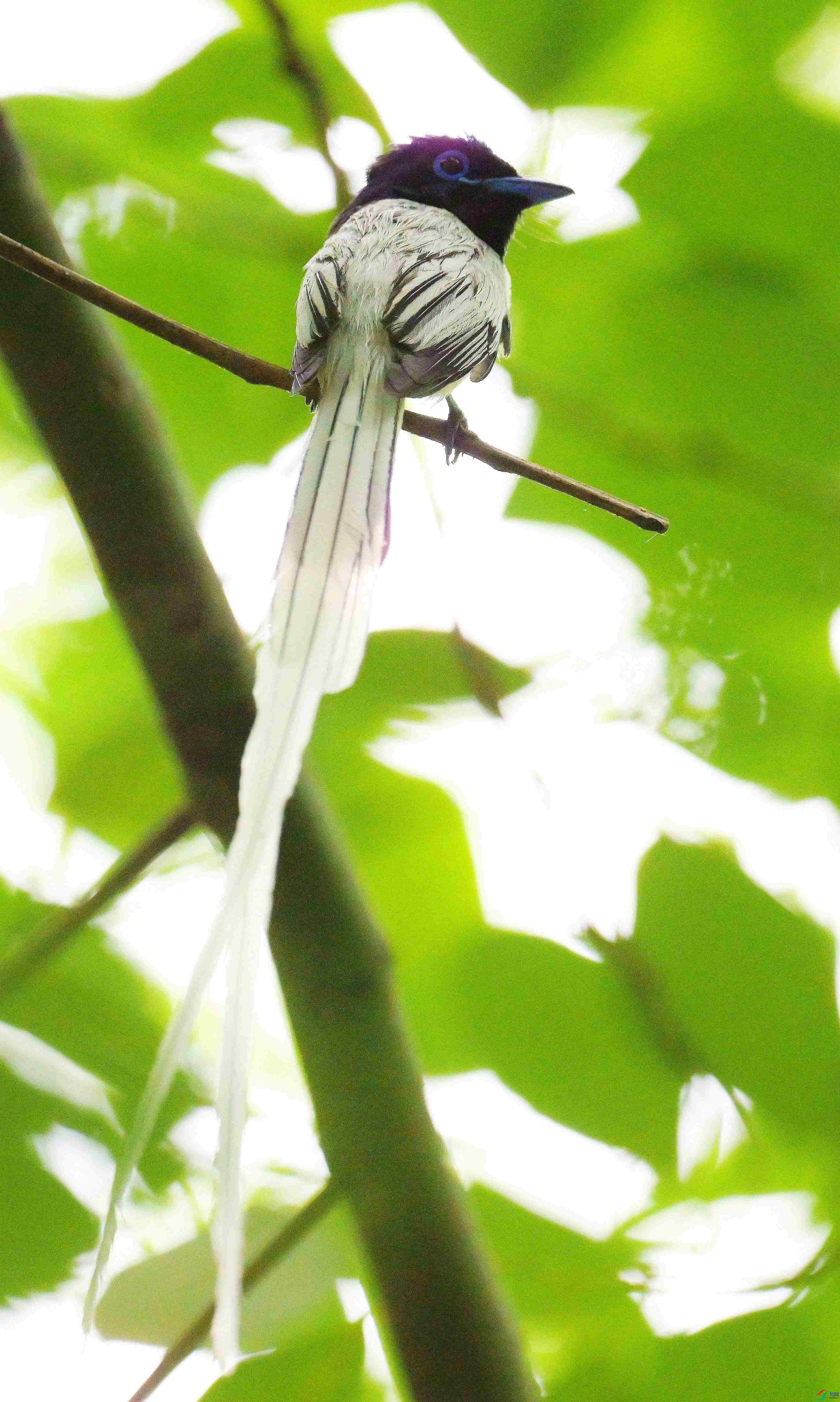 DSC_1088.jpg