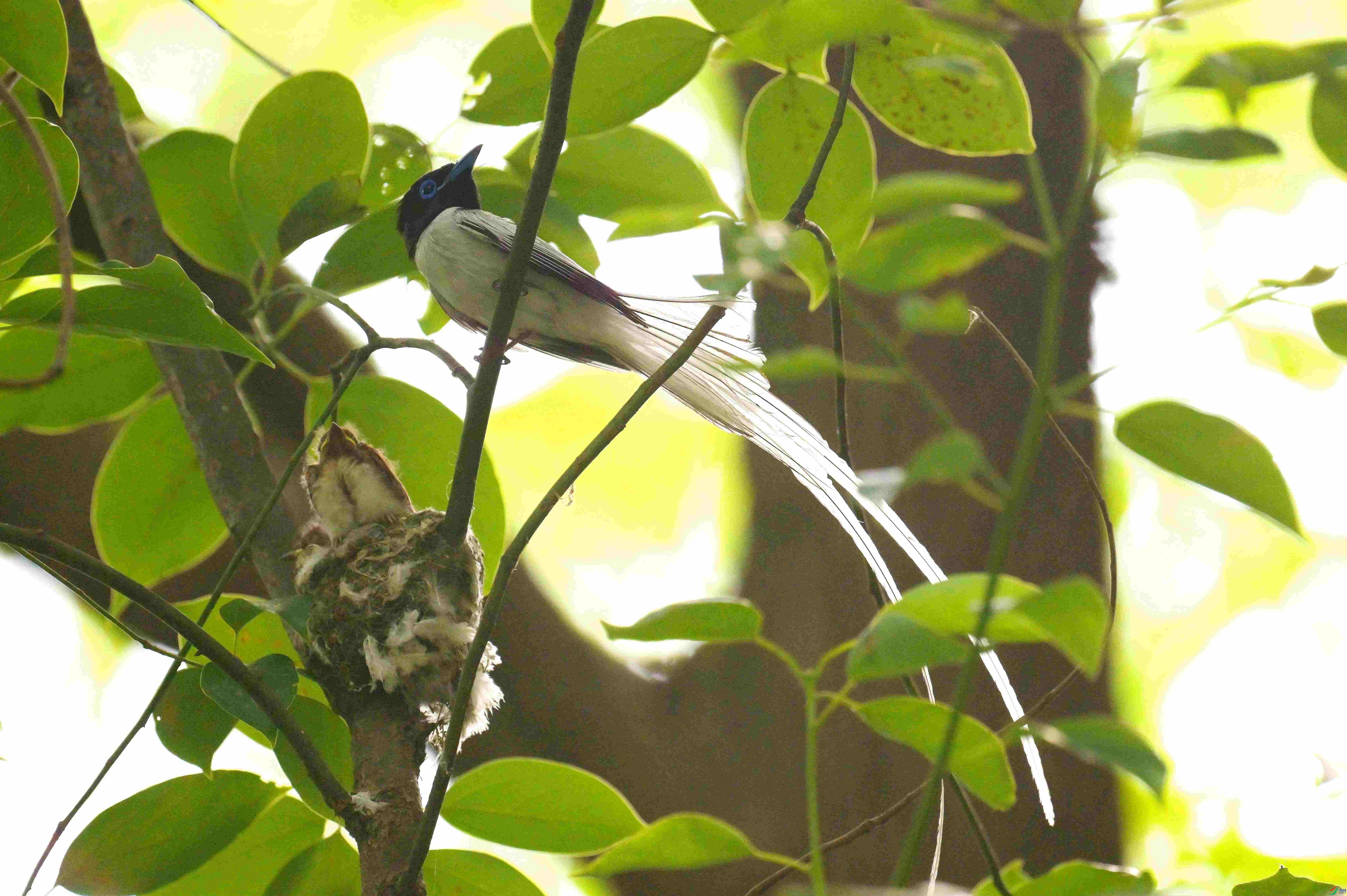 DSC_2077.jpg