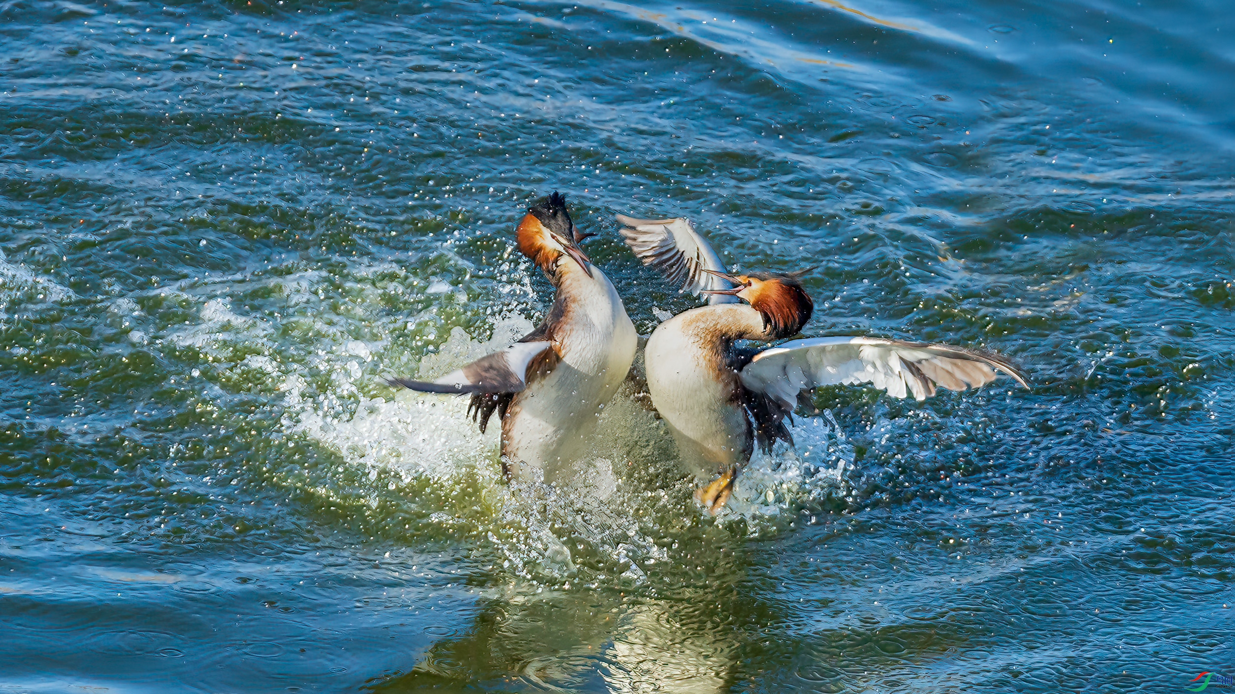 DSC_3755-2.jpg