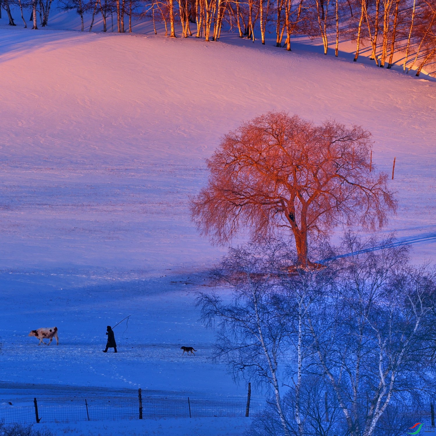 DSCF9966 1.jpgl.jpg