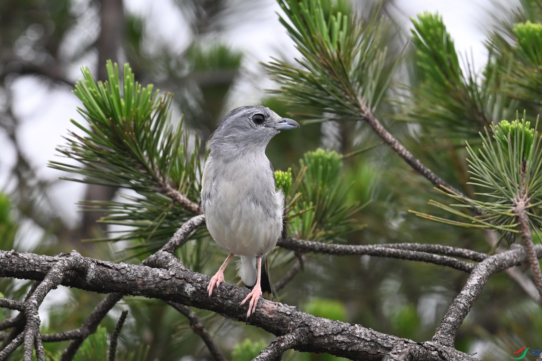DSC_0883.JPG