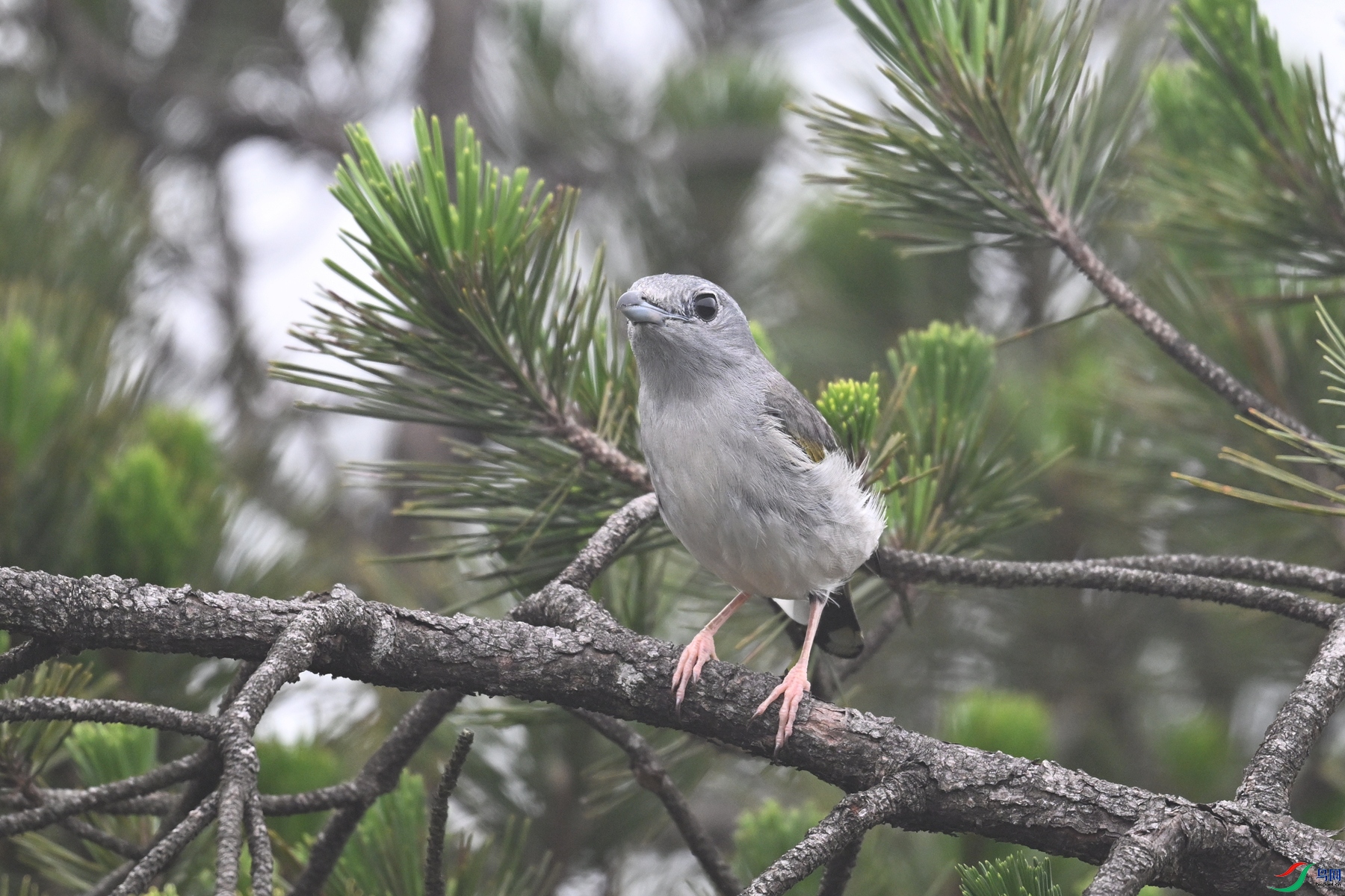 DSC_0865.JPG