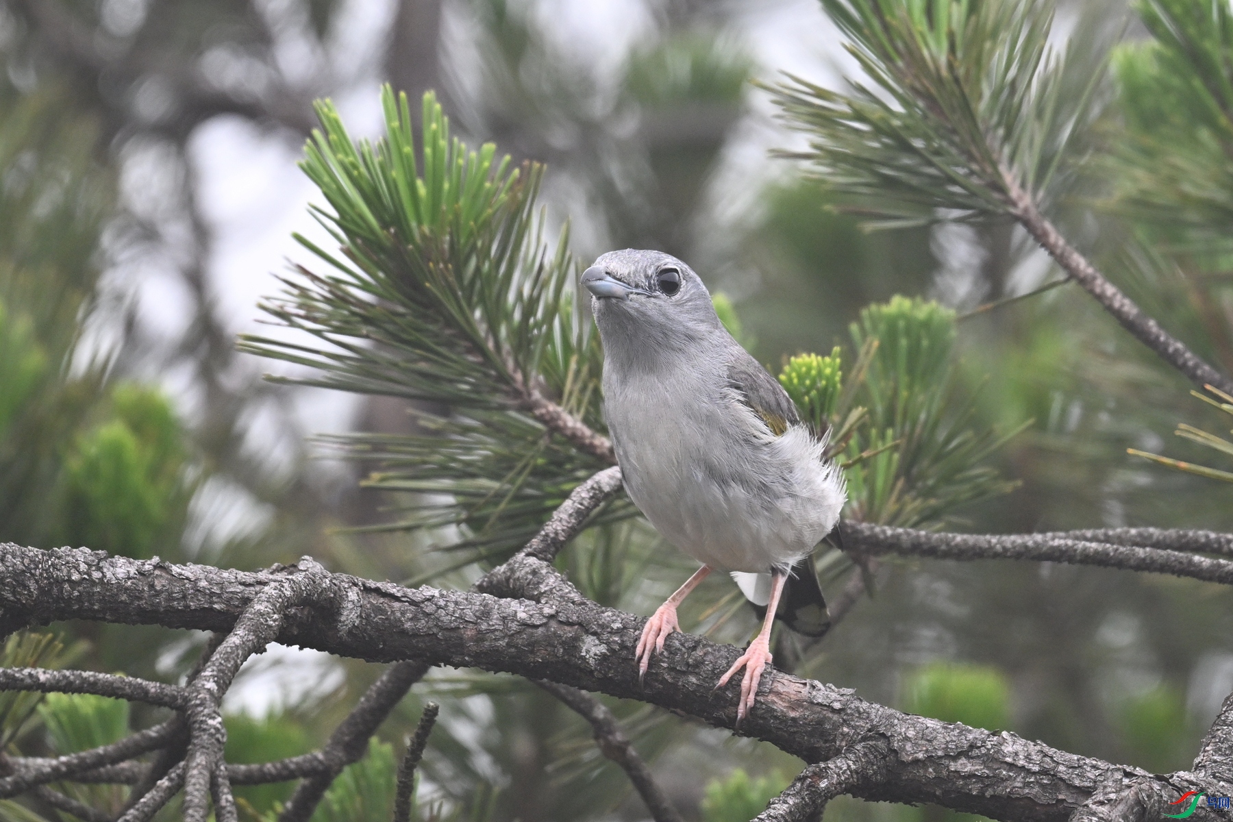 DSC_0866.JPG