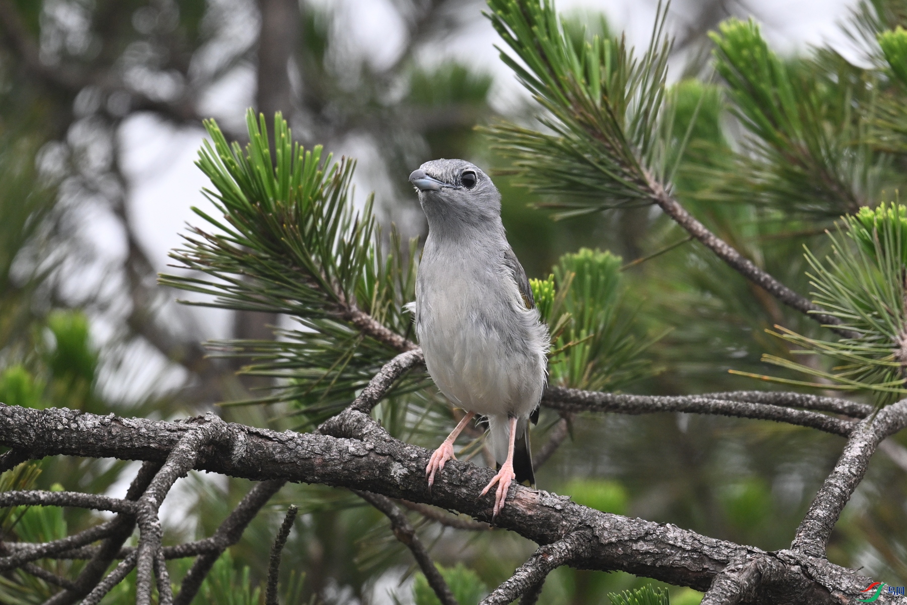 DSC_0879.JPG