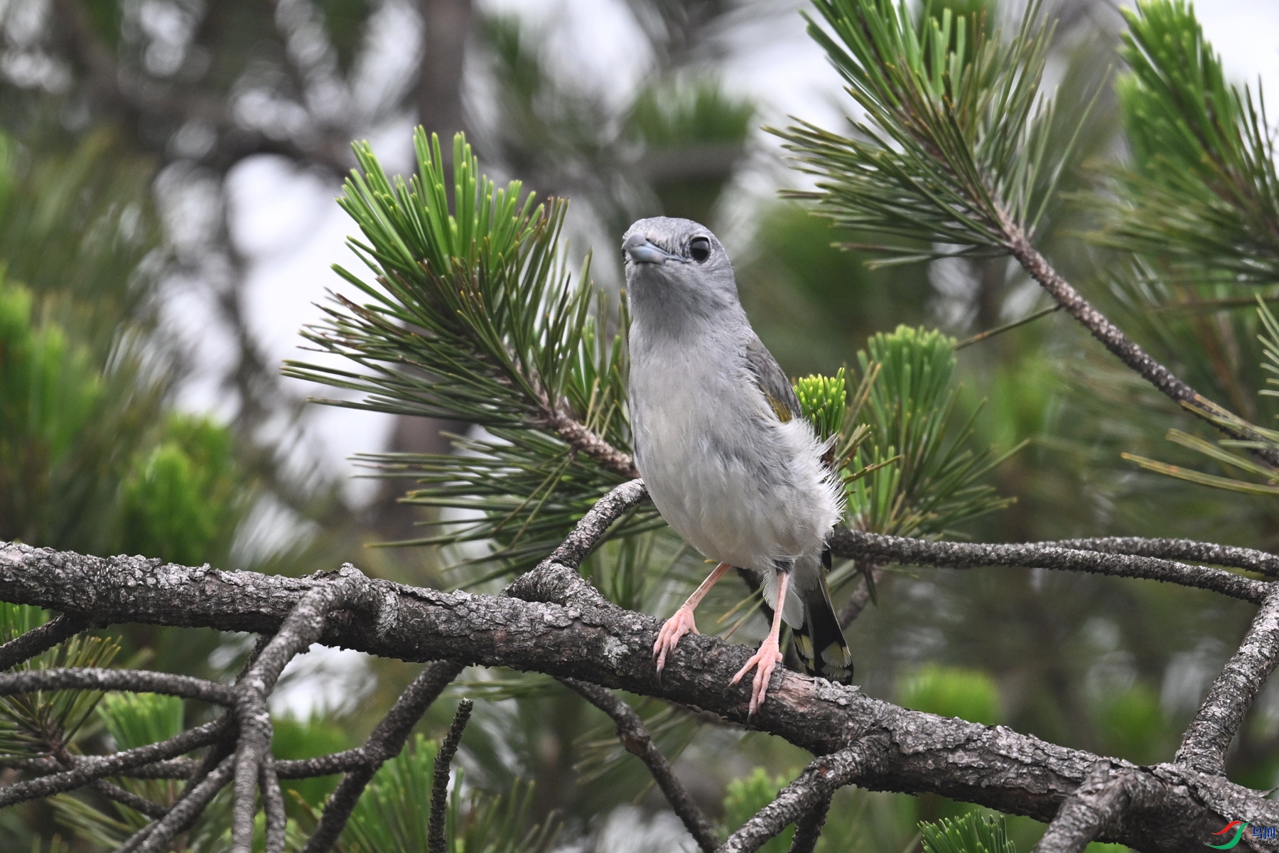 DSC_0868.JPG