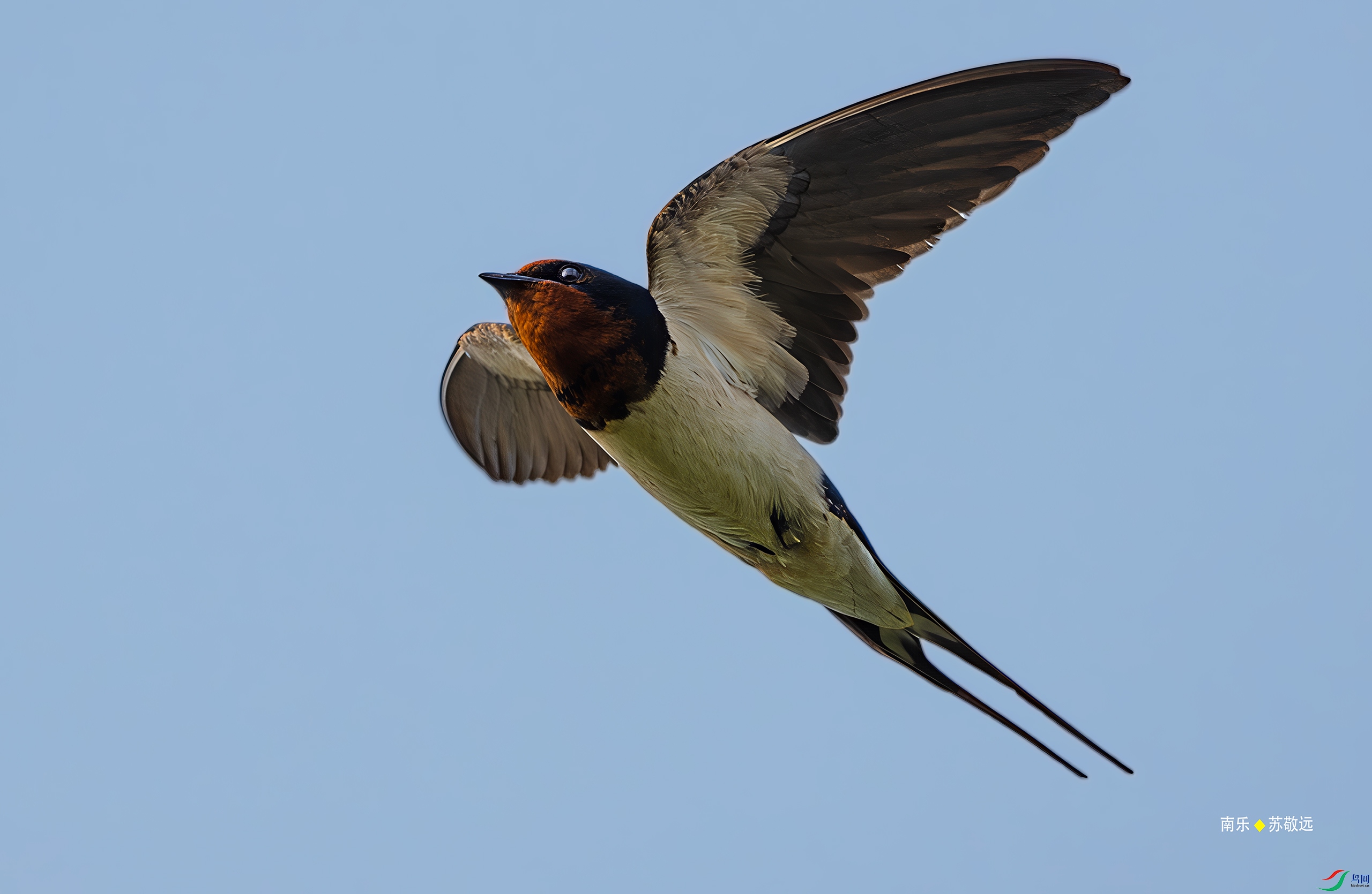 _DSC2021-DxO_С.jpg