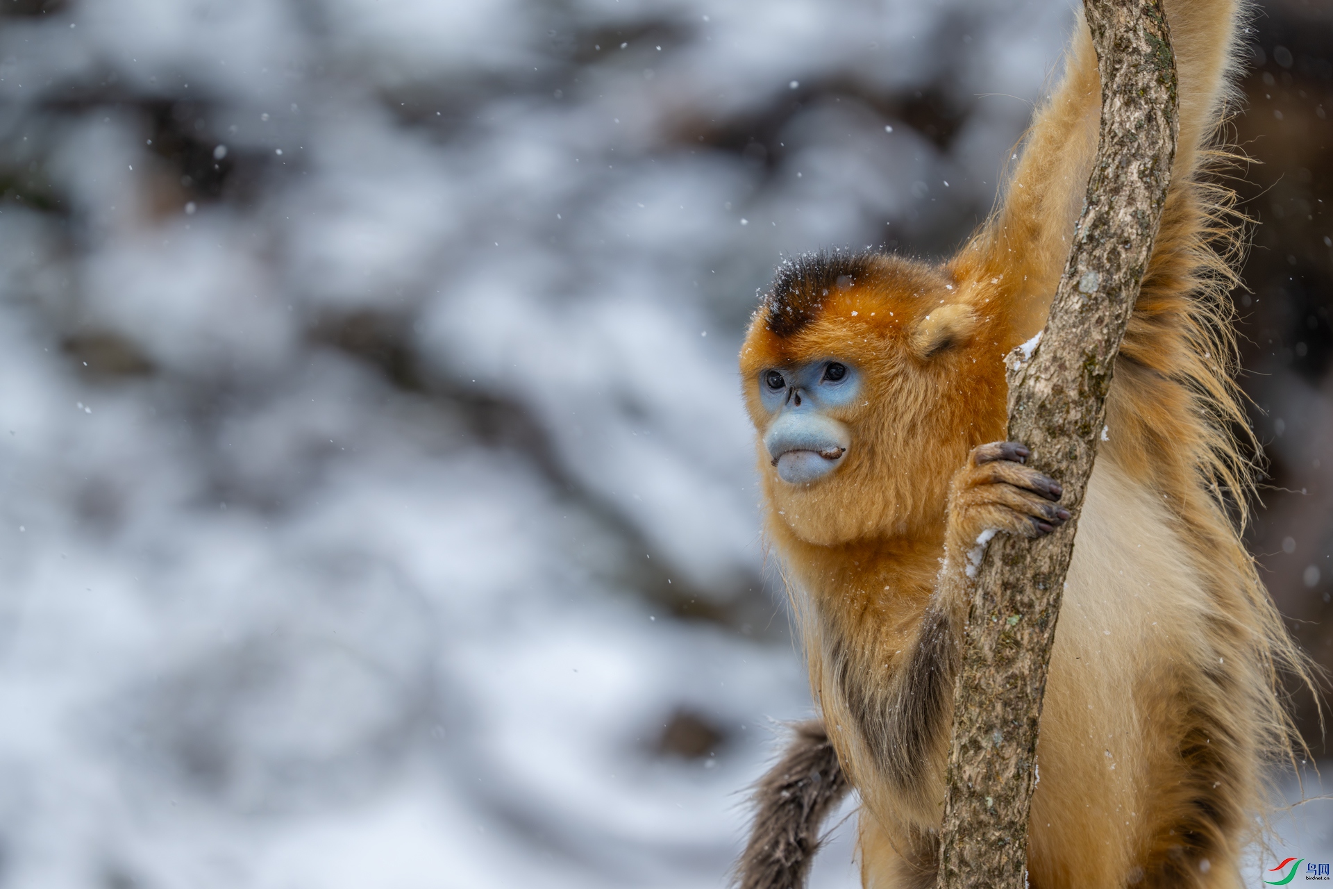 DSC_9441-1.jpg