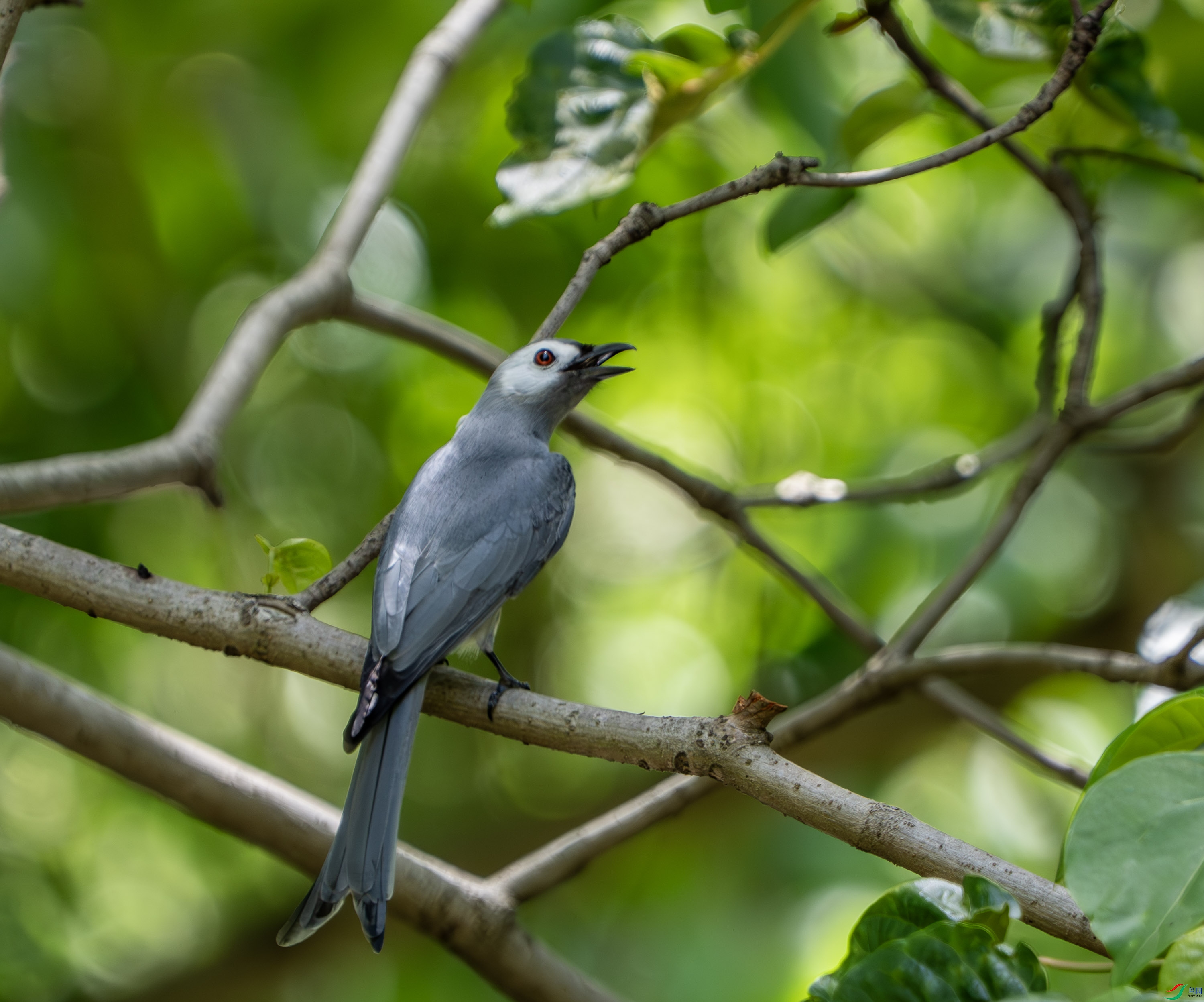 �Ҿ�β-3.jpg