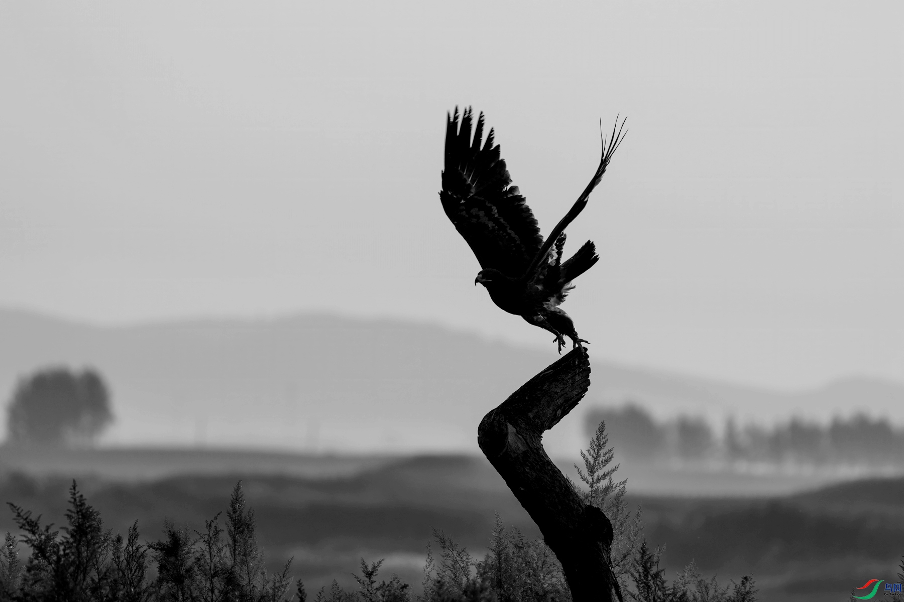 DSC05768 ����_����_����.jpg