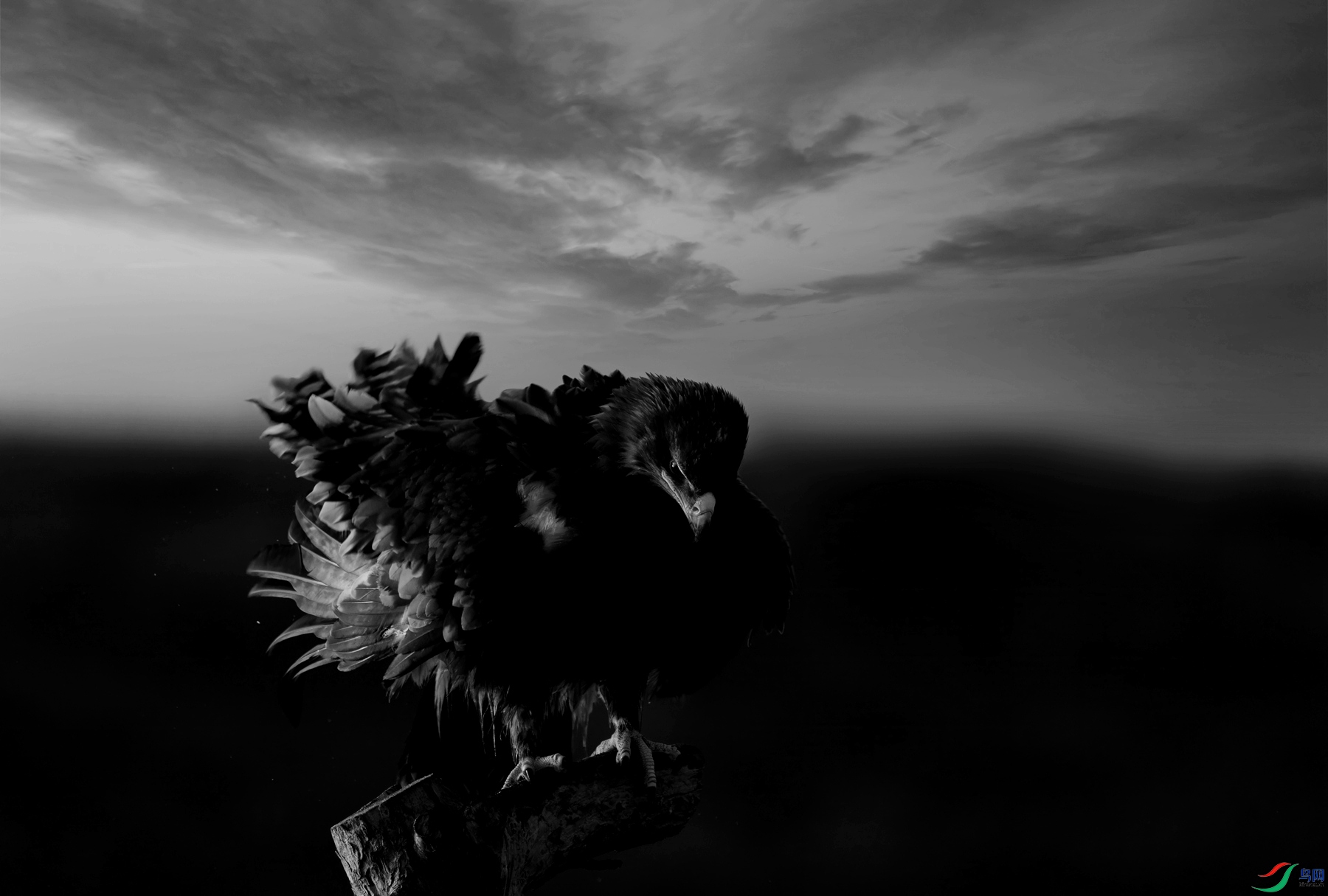 DSC05835 ����_����_����.jpg