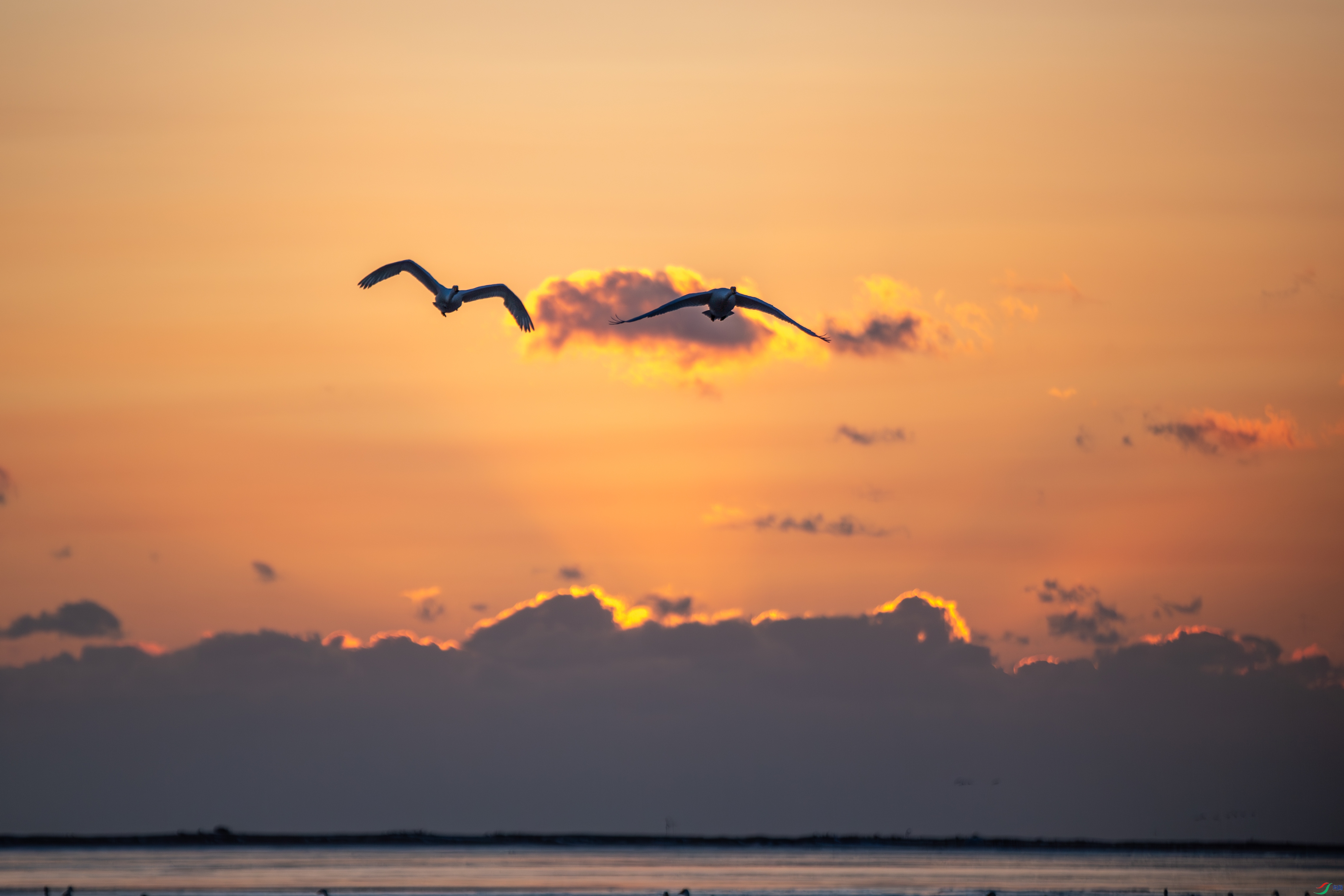 XT5A8674�Ĵ�26-2-19.jpg