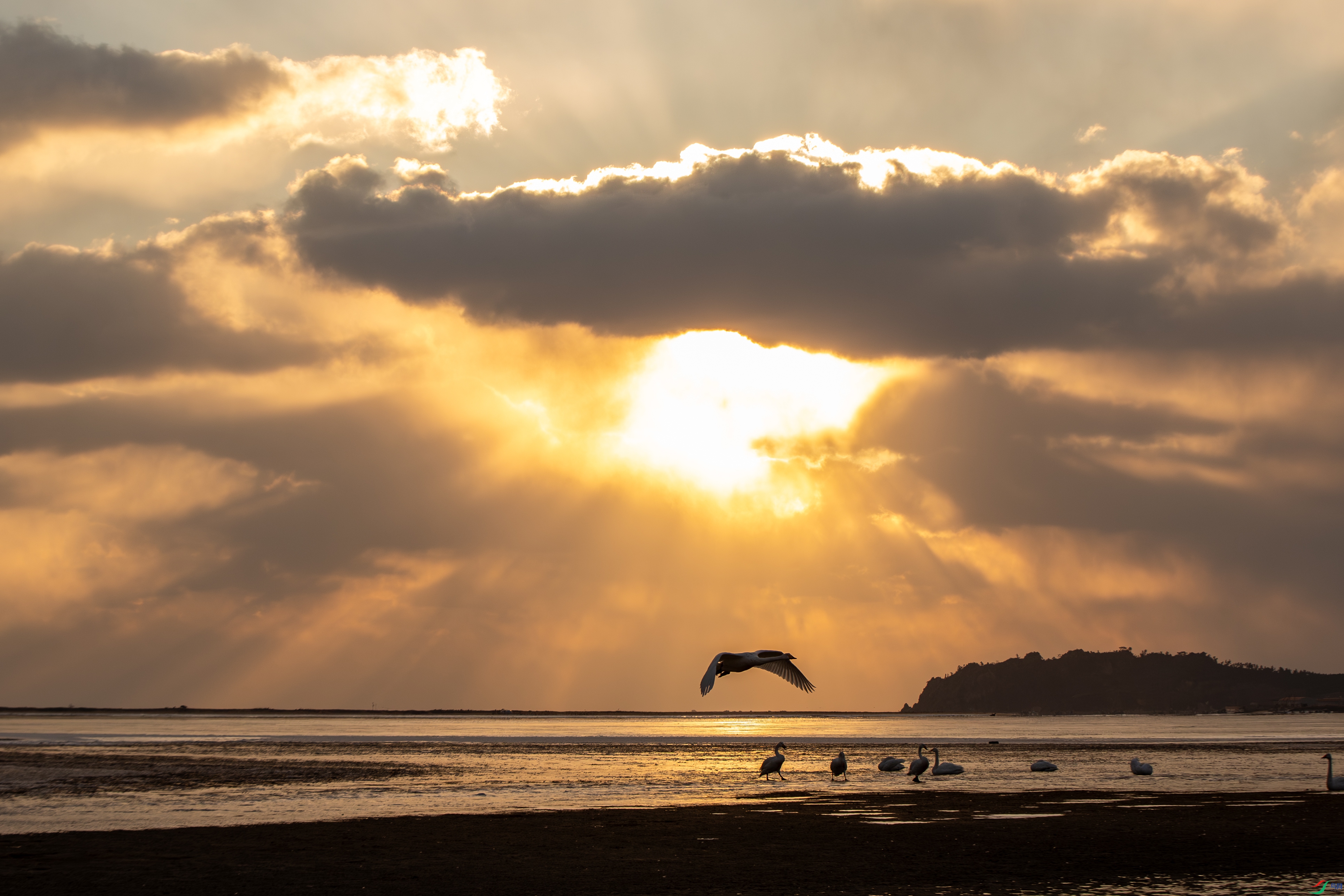 XT5A8505����26-2-19.jpg