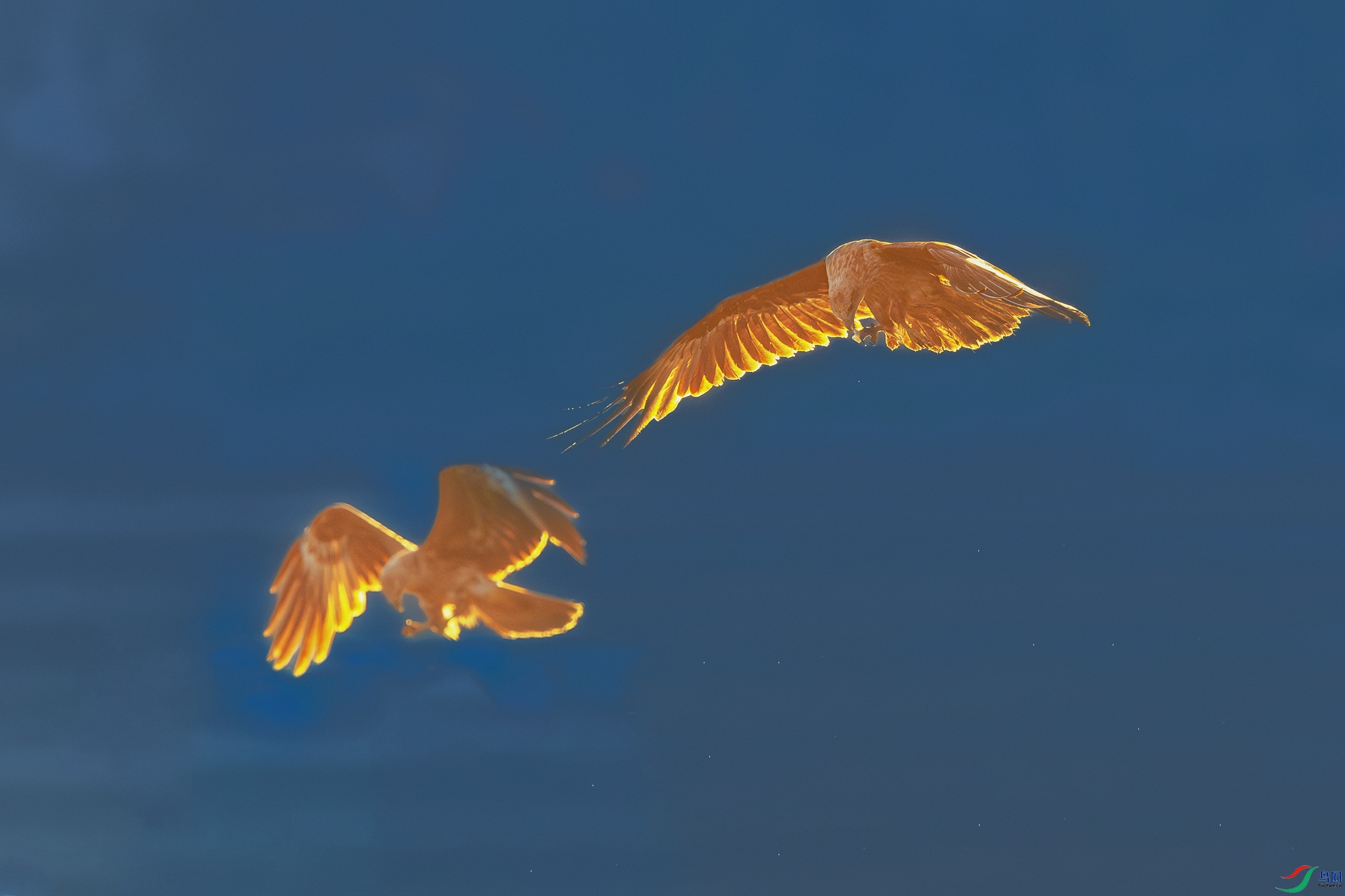 ���----������ɿ��м���