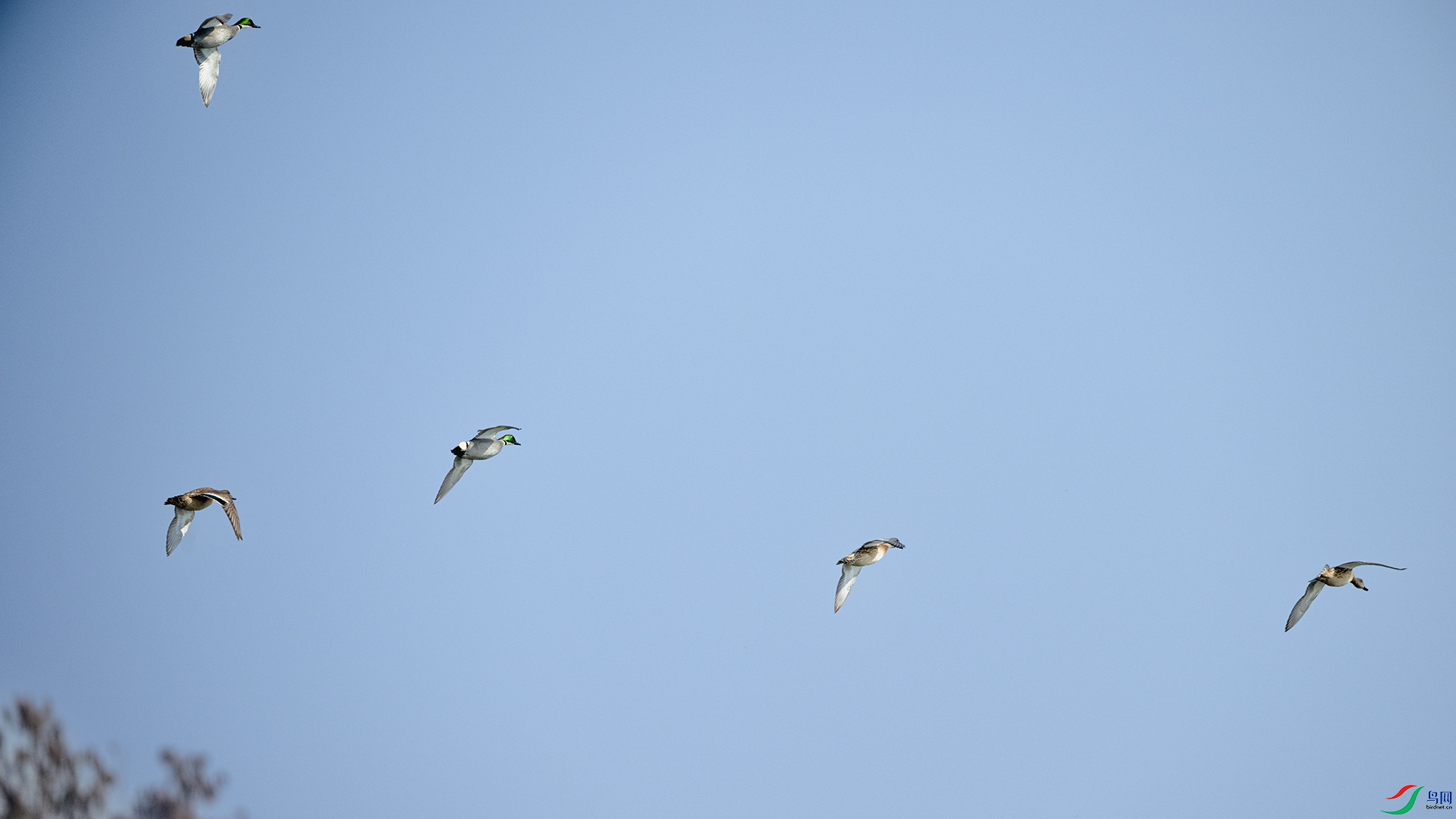 DSC_6990-2 ����.jpg