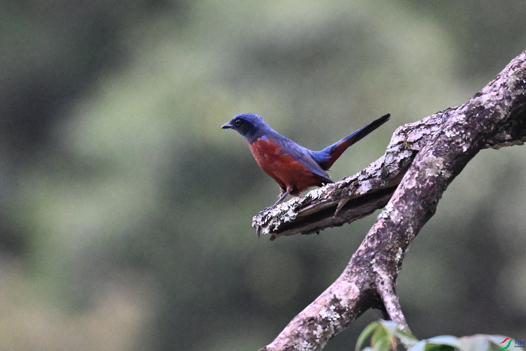 DSC_1864.JPG