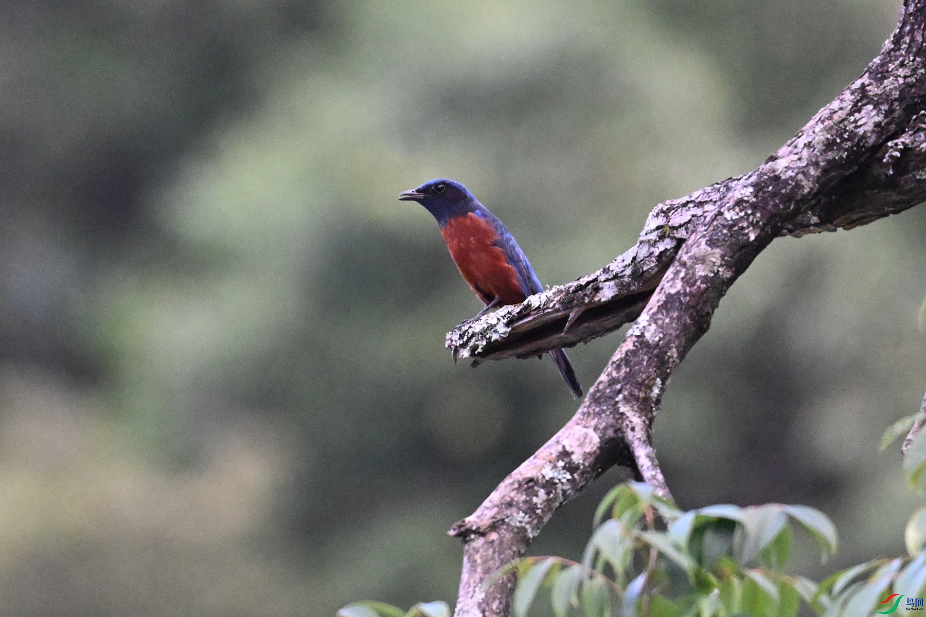 DSC_1856.JPG