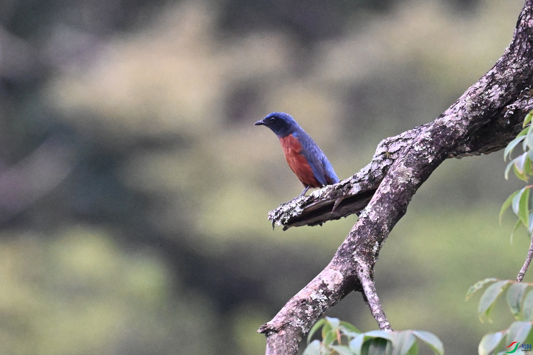 DSC_1834.JPG